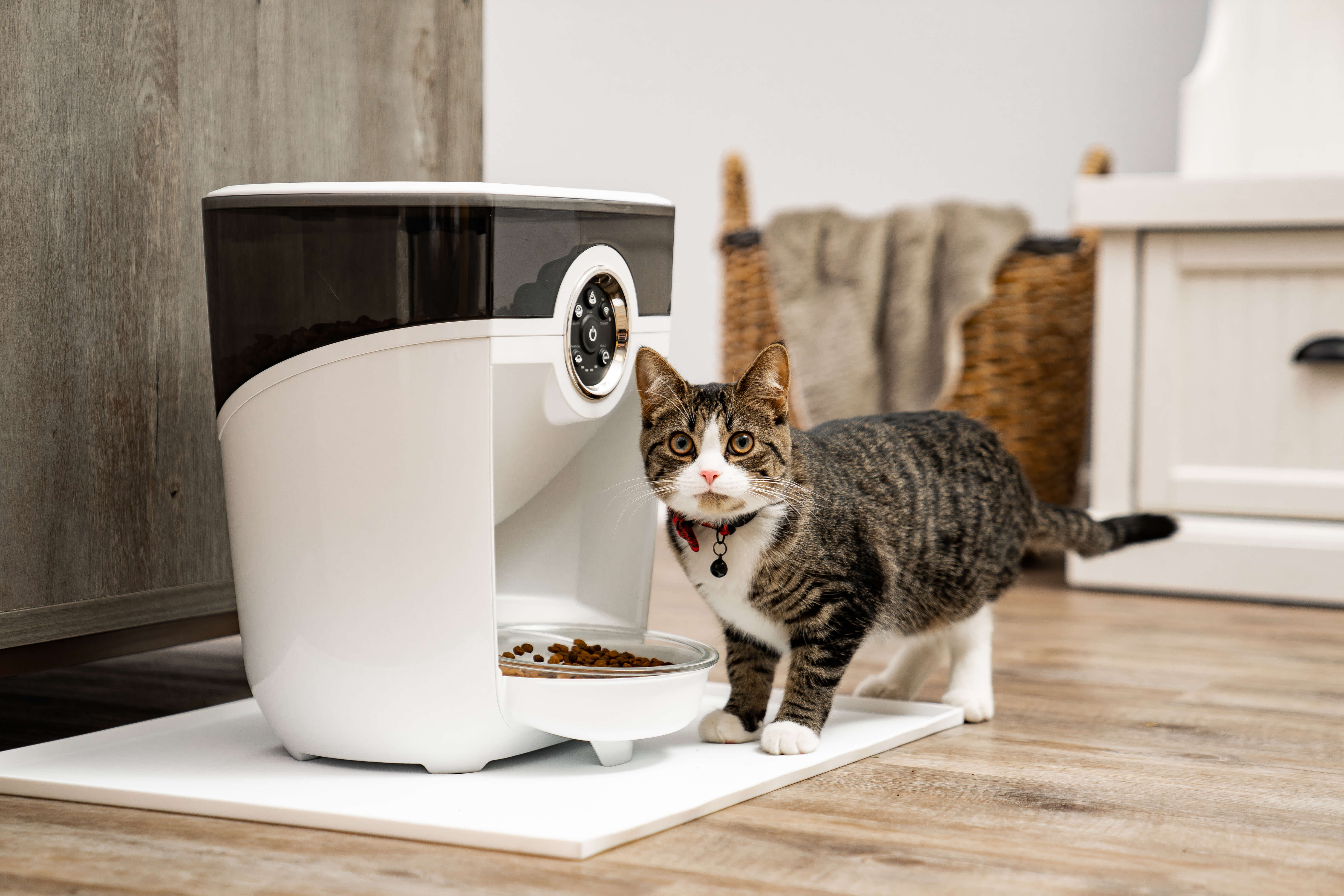 Whisker - Pet Feeder-Robot