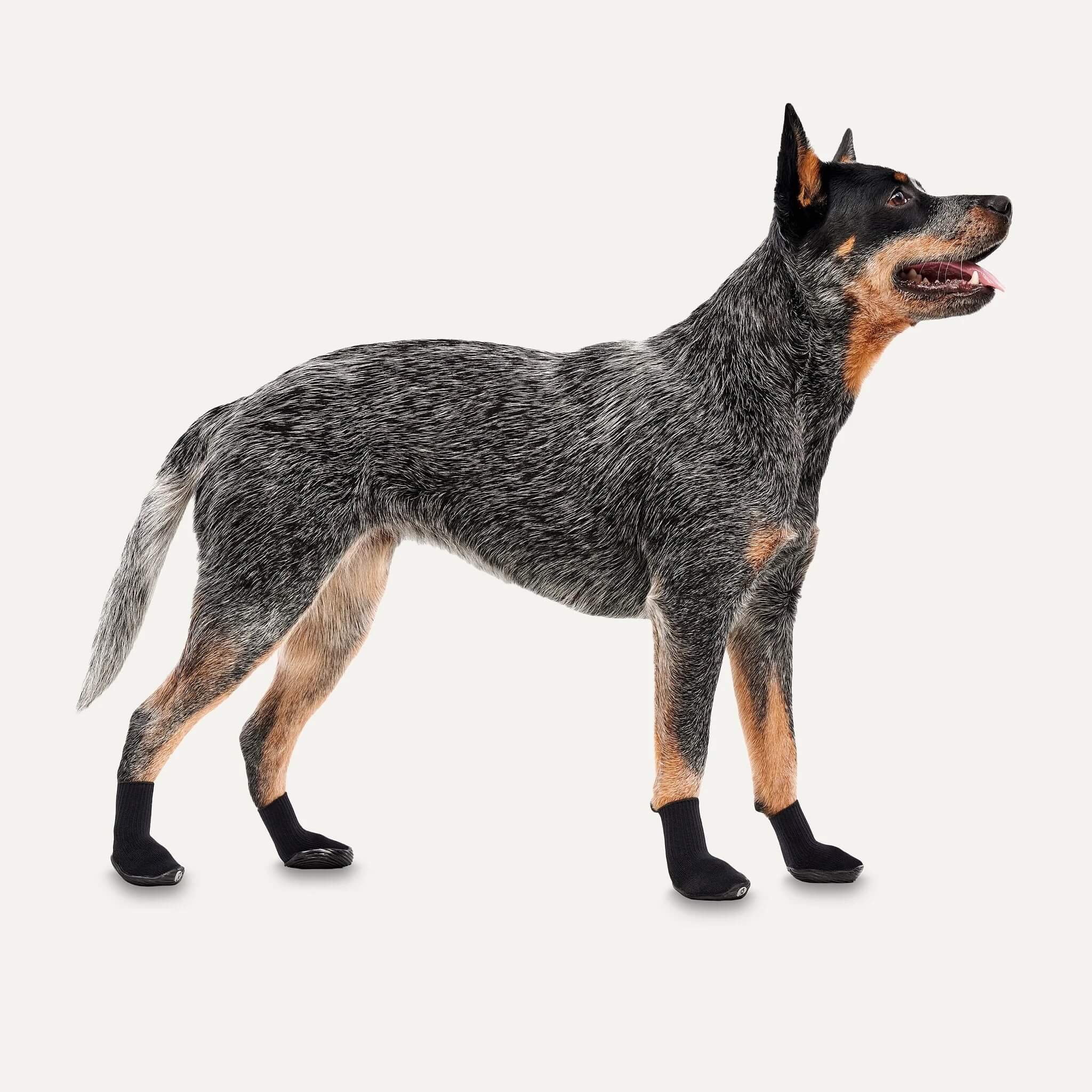 Goo-eez - Dog Boots - All Season Terrain