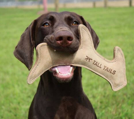 Tall Tails Natural leather antler dog toy with bird dog