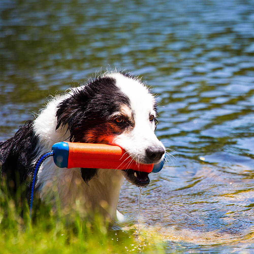 Chuckit! - Dog Toy - Amphibious Bumper