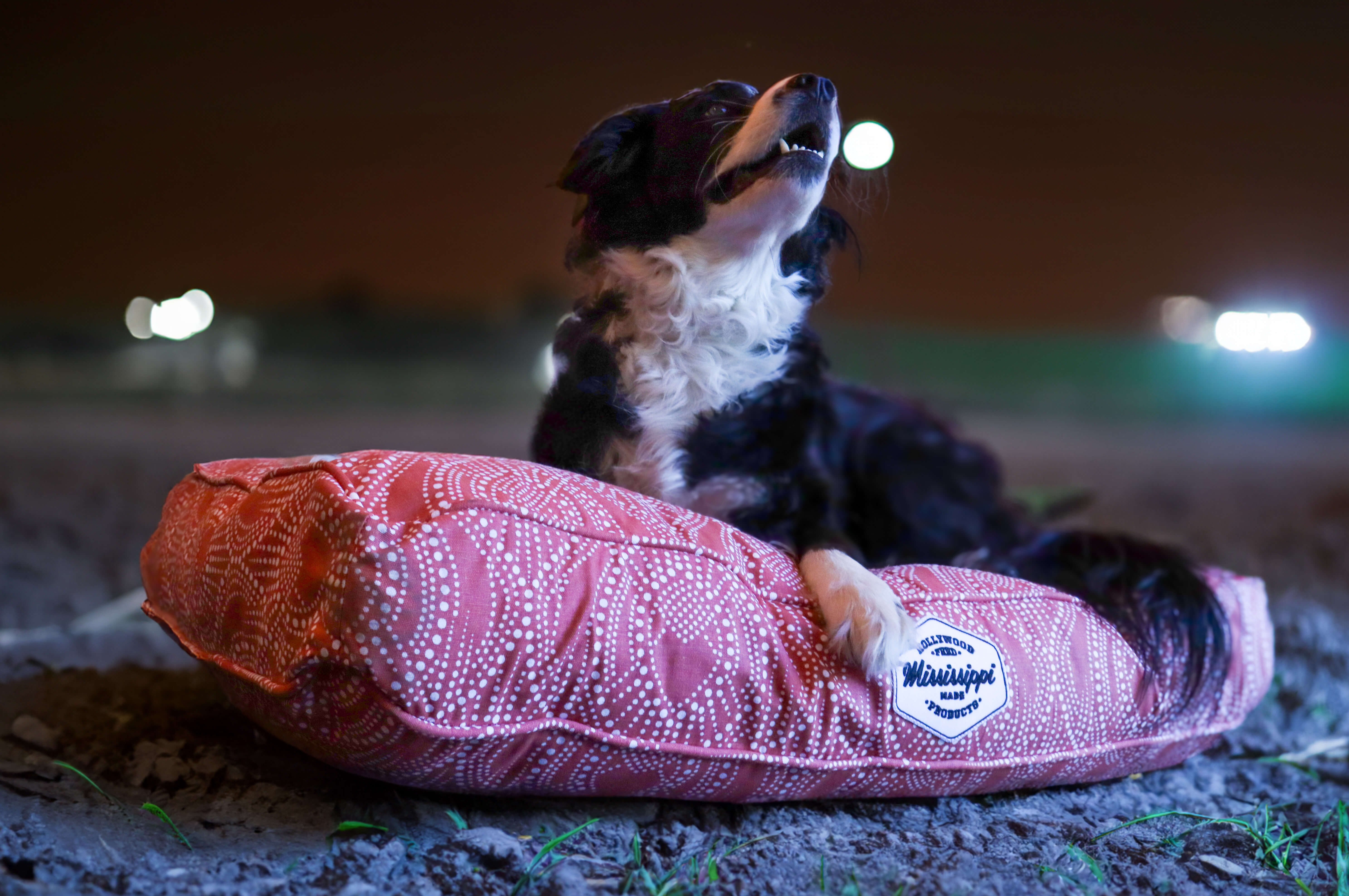 Rectangle Dog Bed