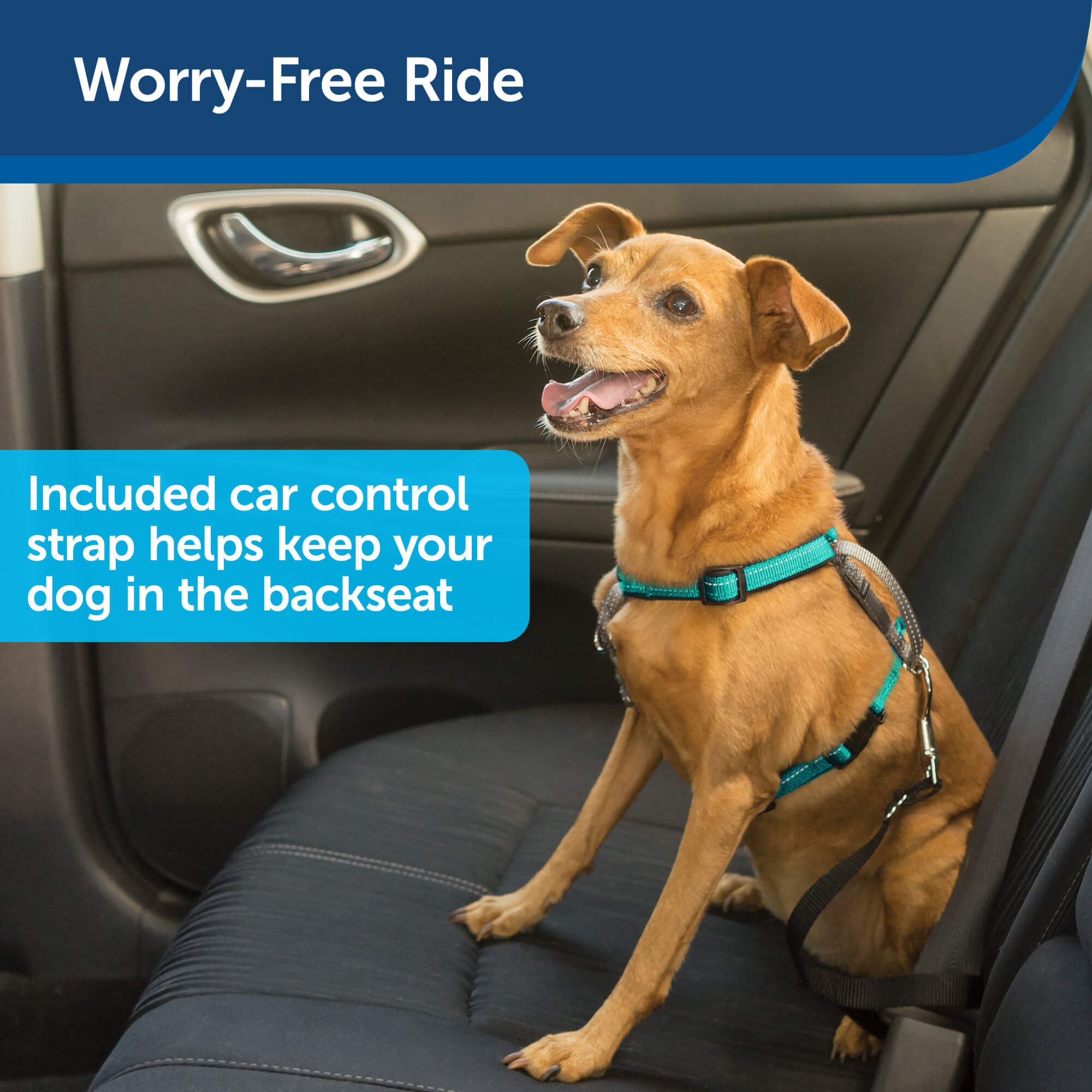 PetSafe Worry-free ride