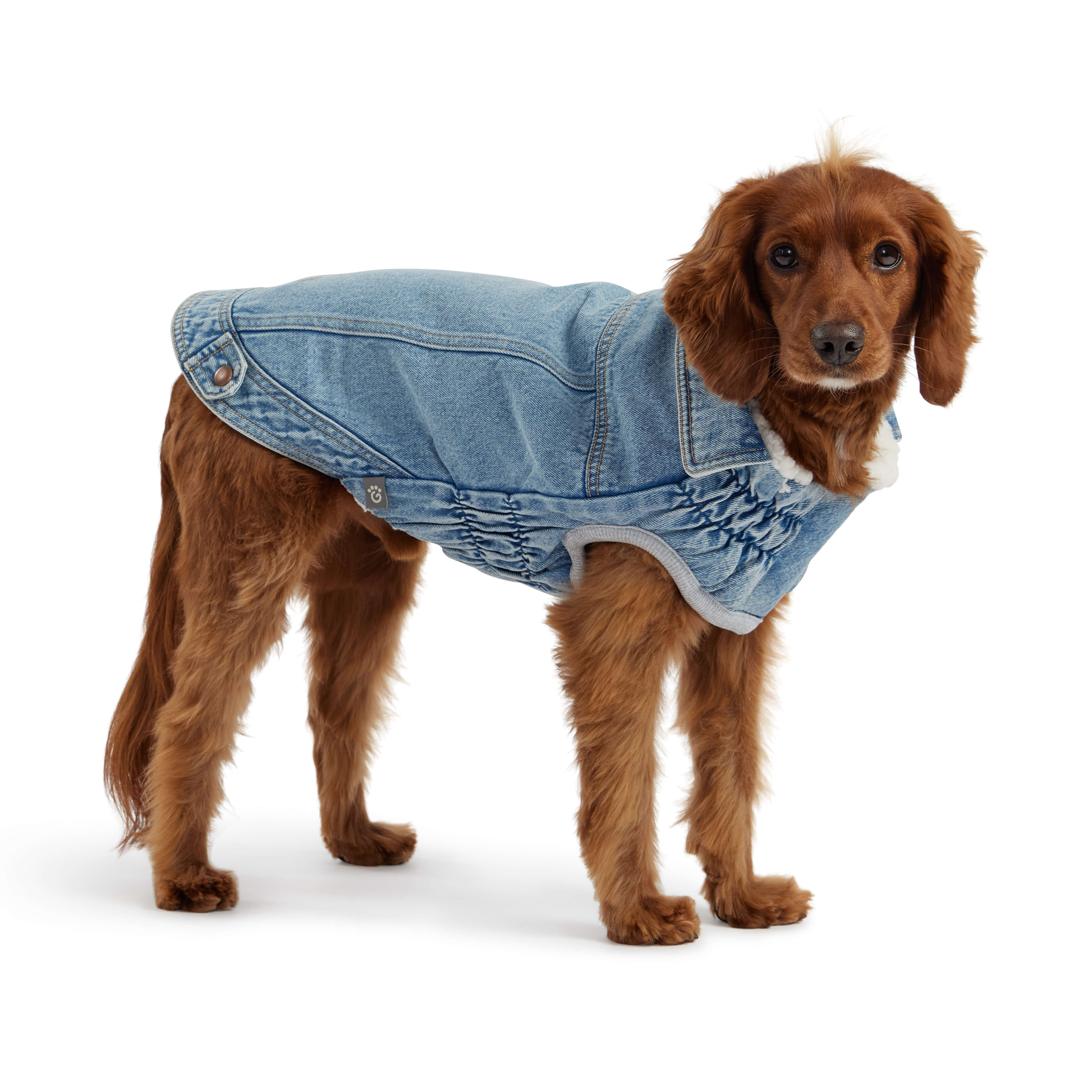 GF Pet - Pet Jacket