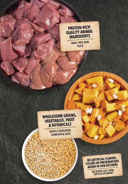 ACANA Dog Food Wholesome Grains Duck Ingredients