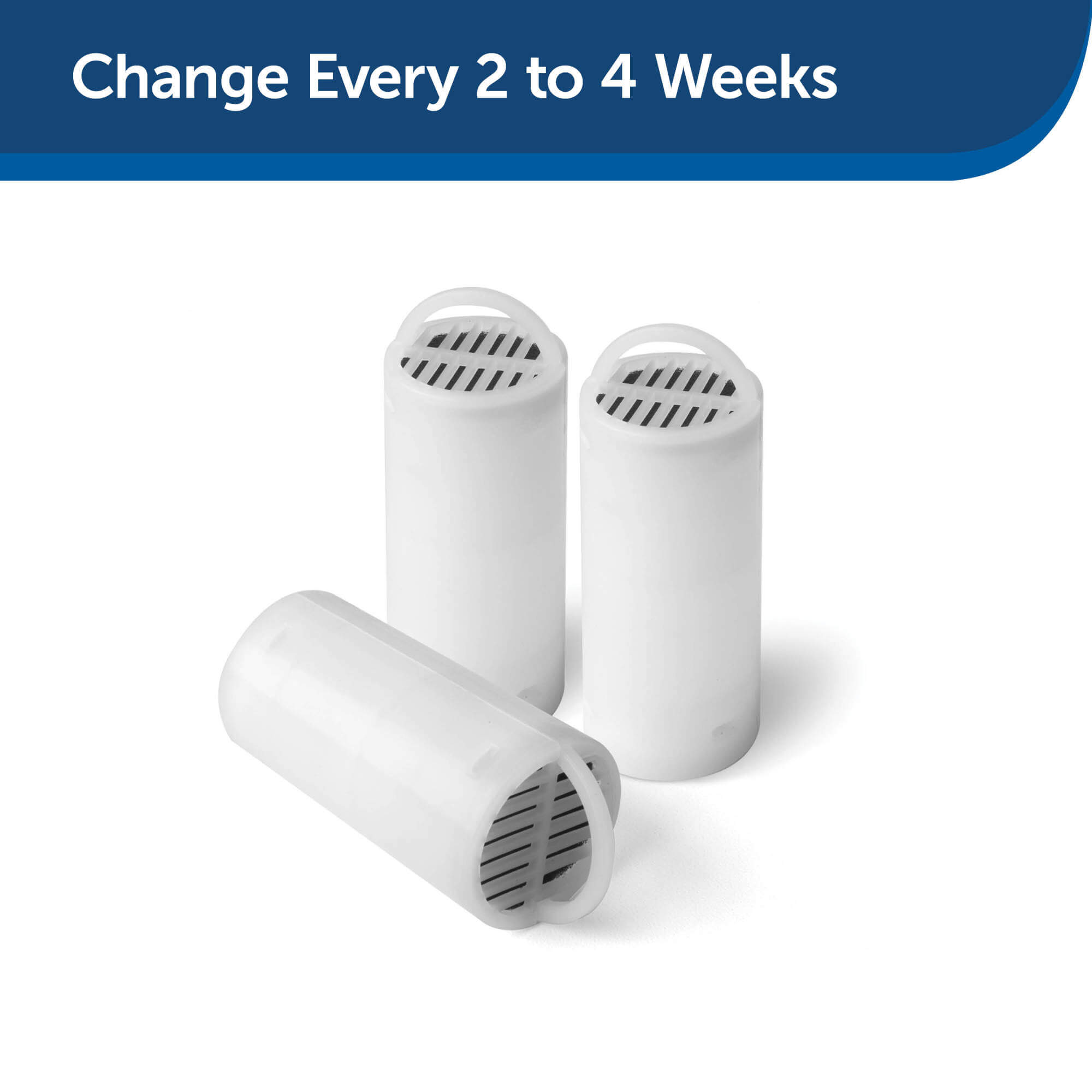 Change Drinkwell filters  every 2 to 4 weeks