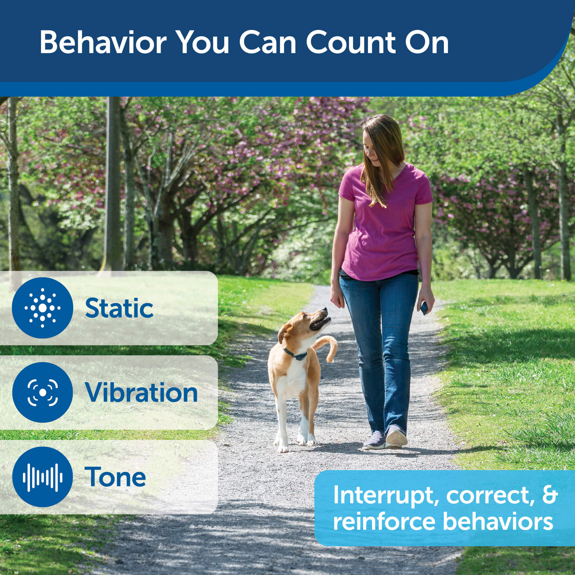 Petsafe dog collar and remote trainer Behavior you can count on