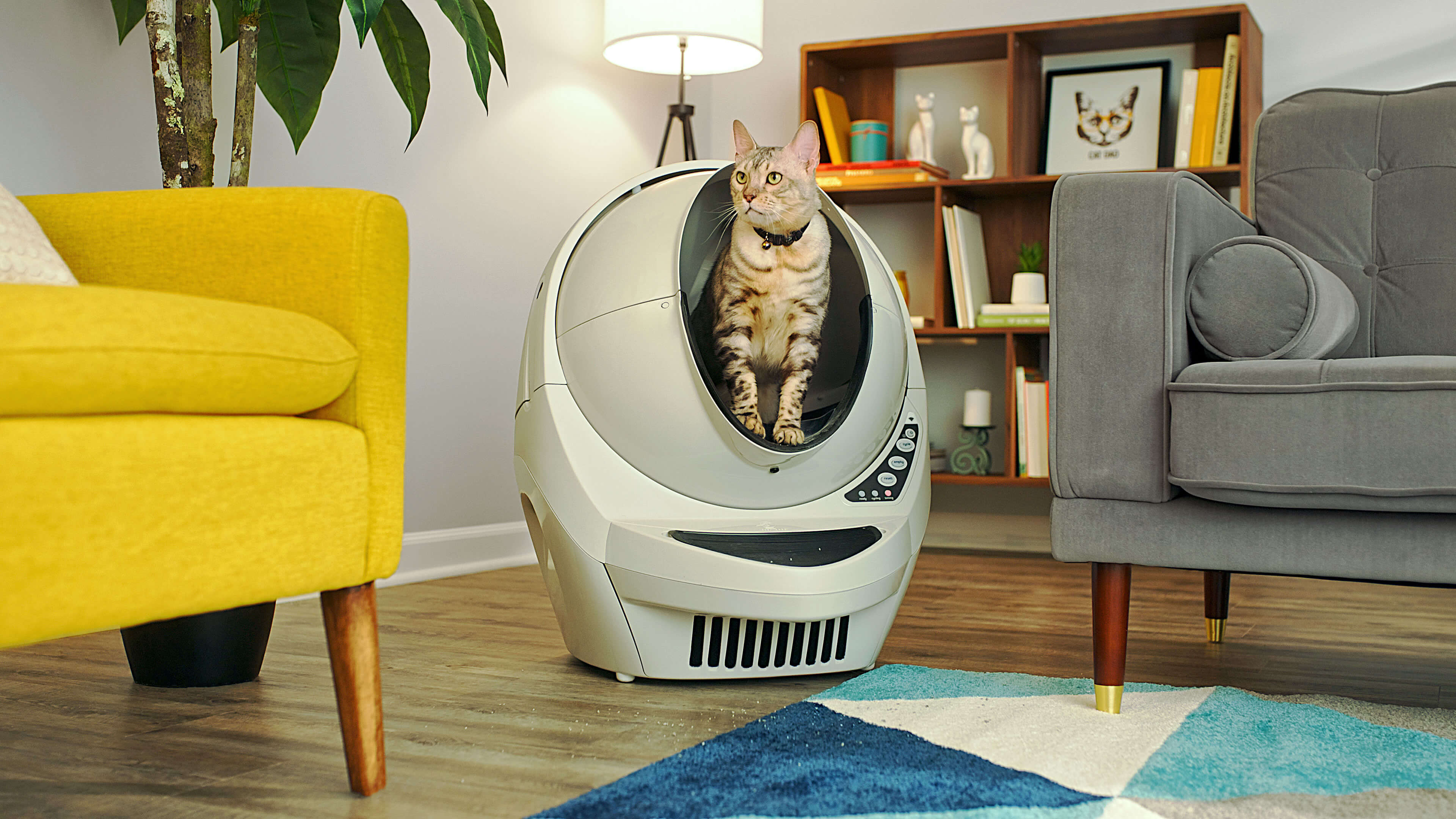 Beige Litter robot 3 connect with cat in it