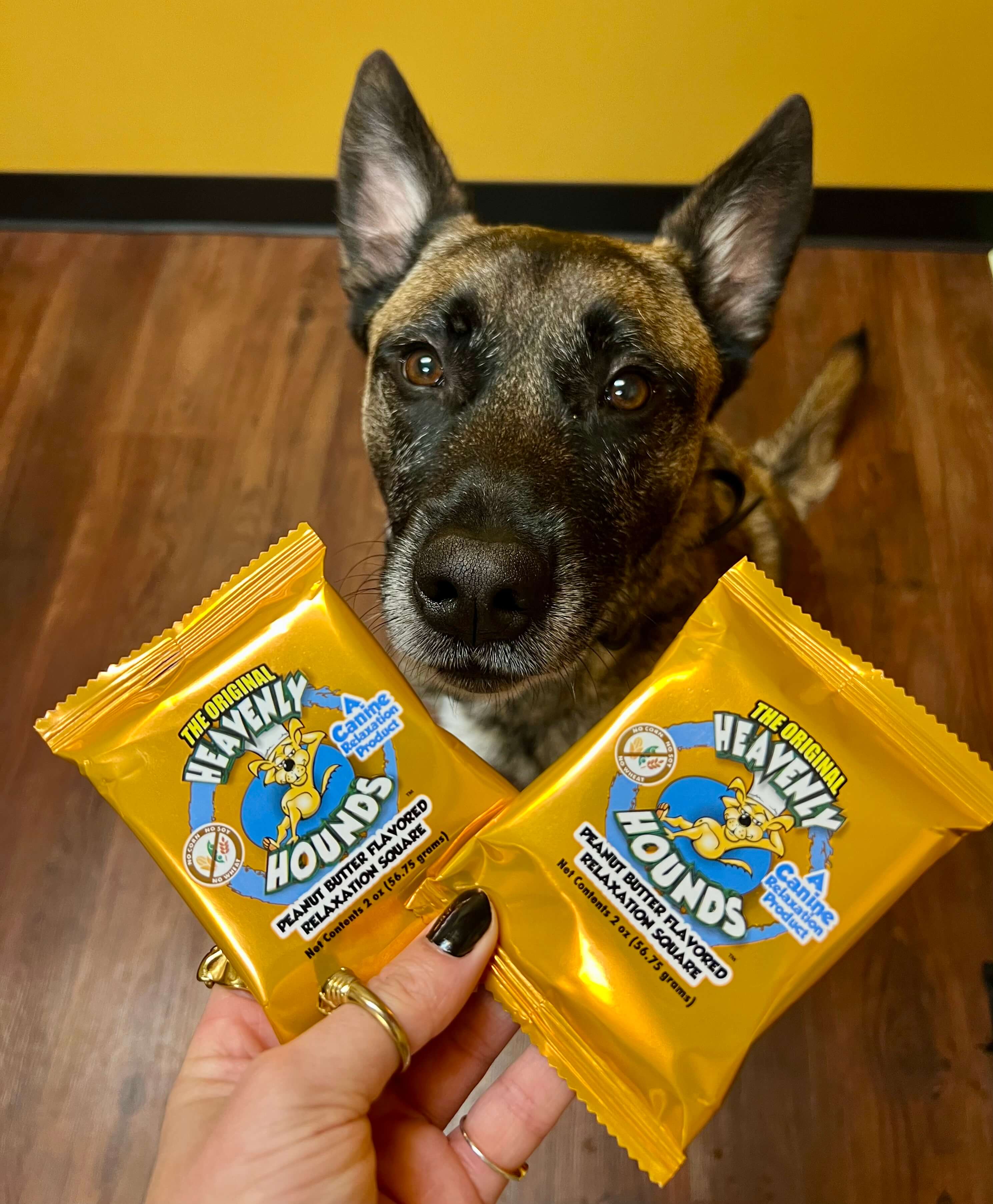 Heavenly Hounds - Calming Dog Treat - Peanut Butter Relaxation Square