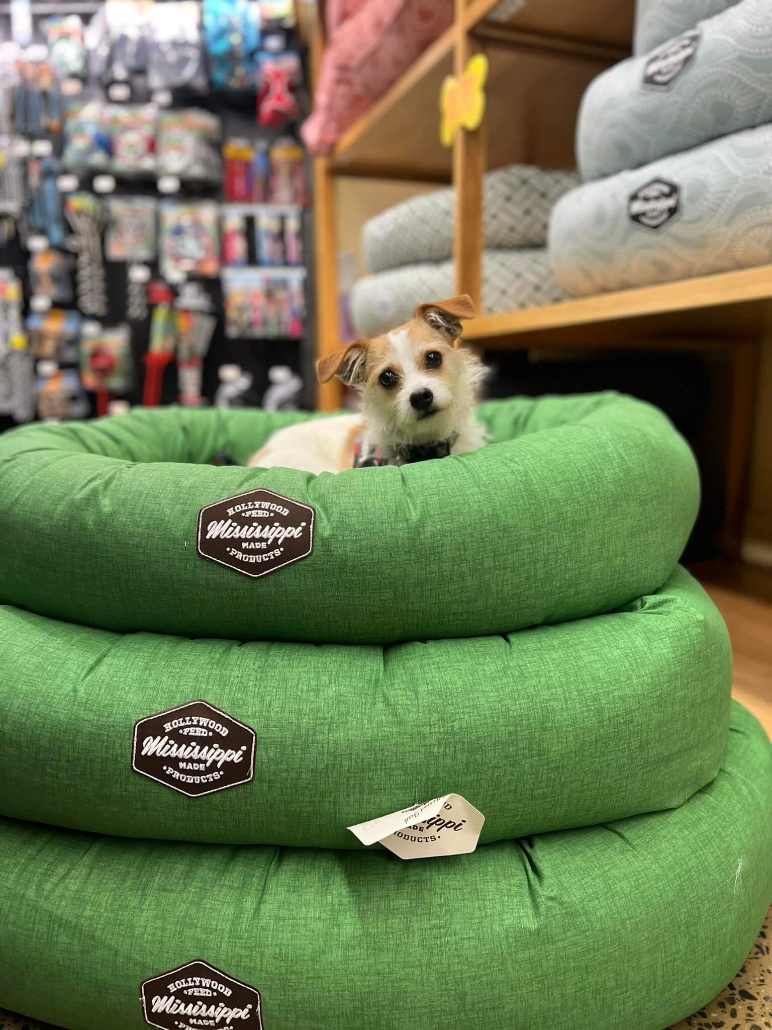 Donut Dog Bed