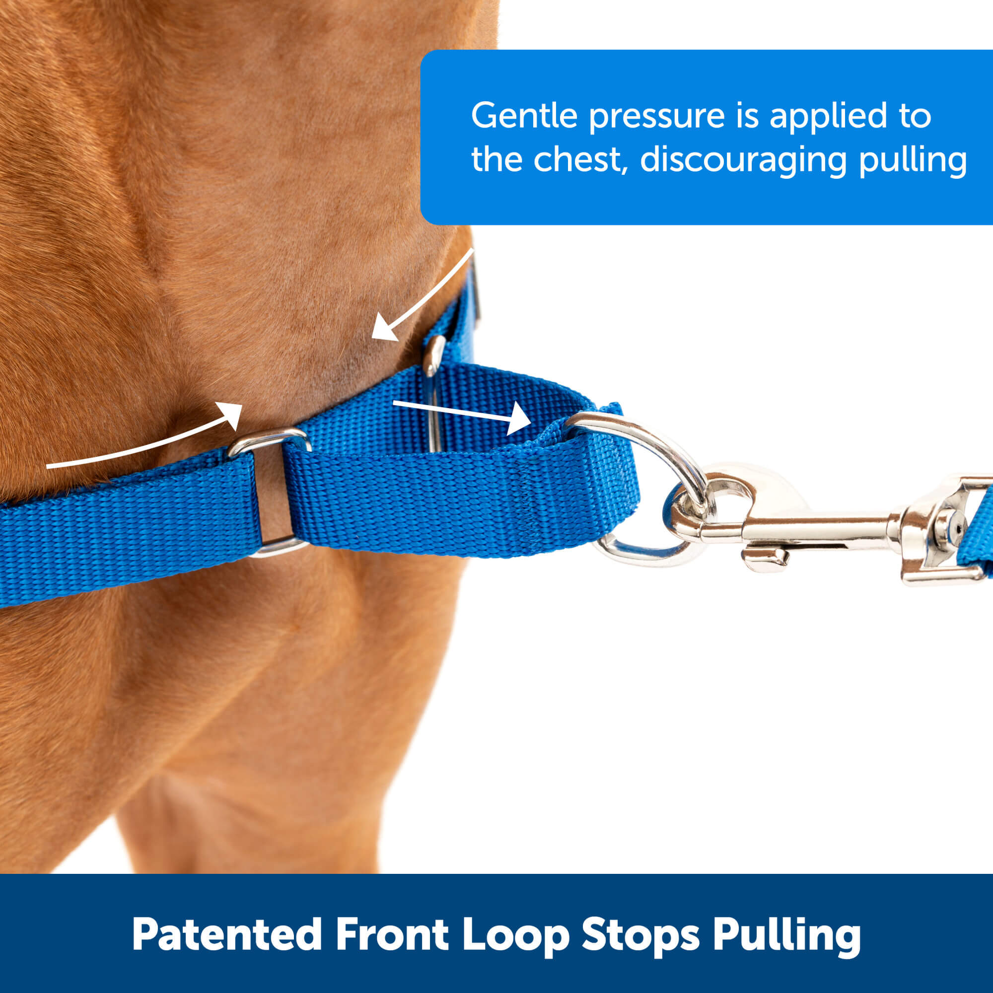 Patented Easy Walk Harness front loop stops pulling