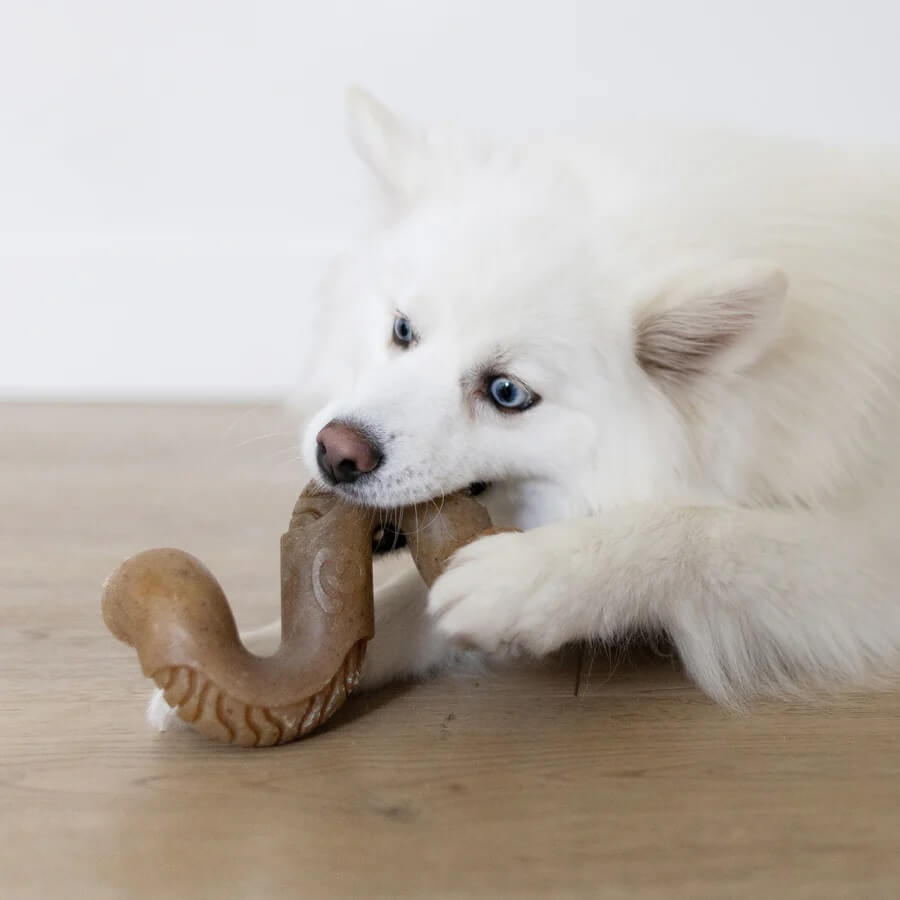 Benebone - Dog Chew Toy