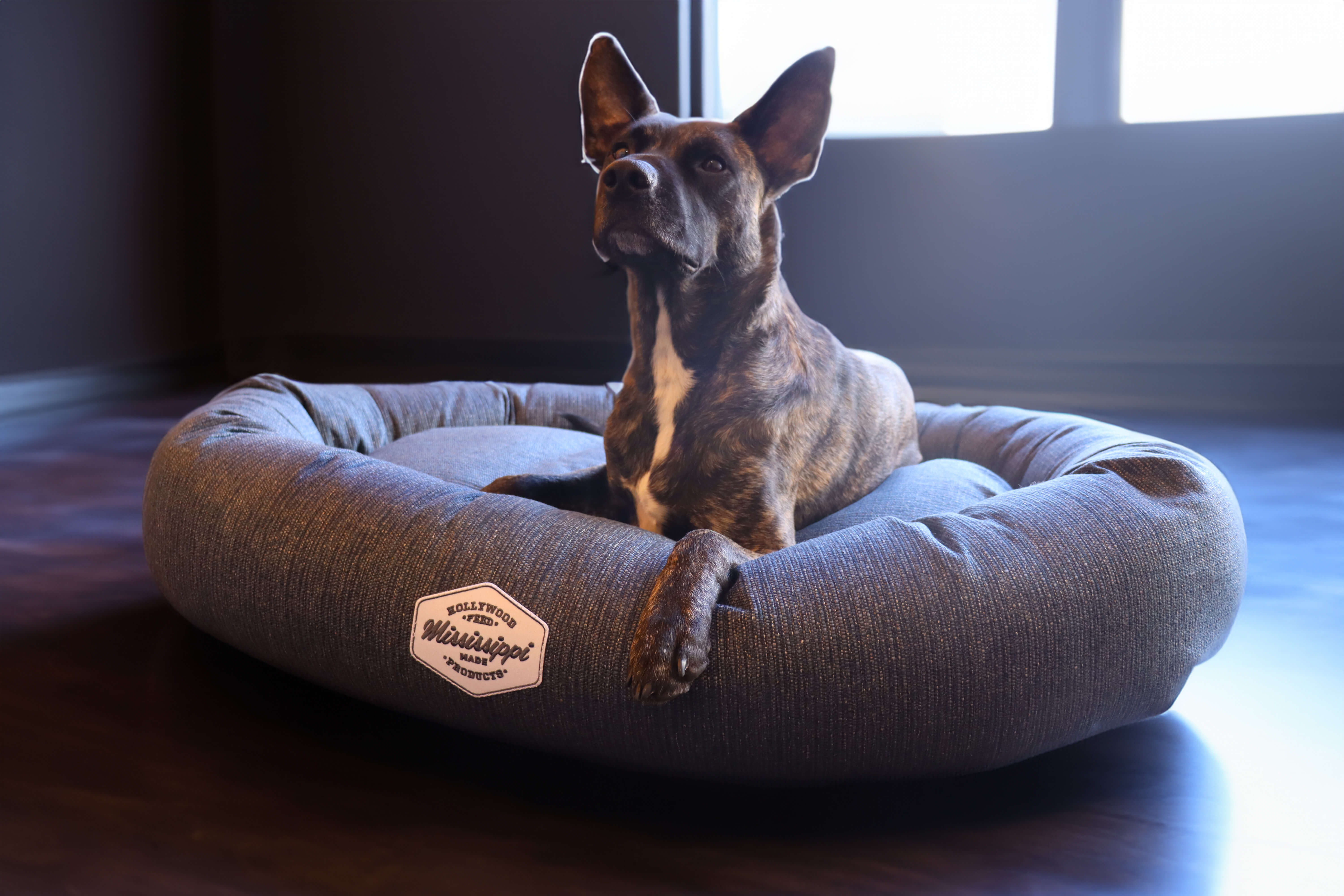 Donut Dog Bed - Celadon Navy