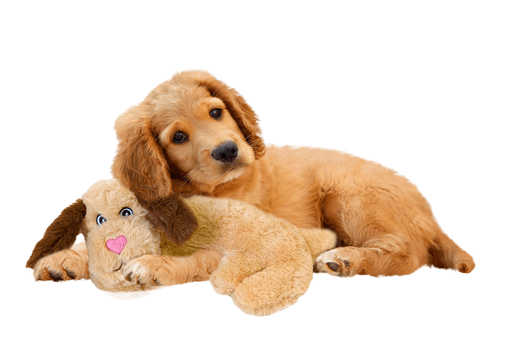 Spot - Plush Dog Toy - Warm Hug Pal