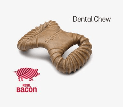 Dental chew bacon flavored