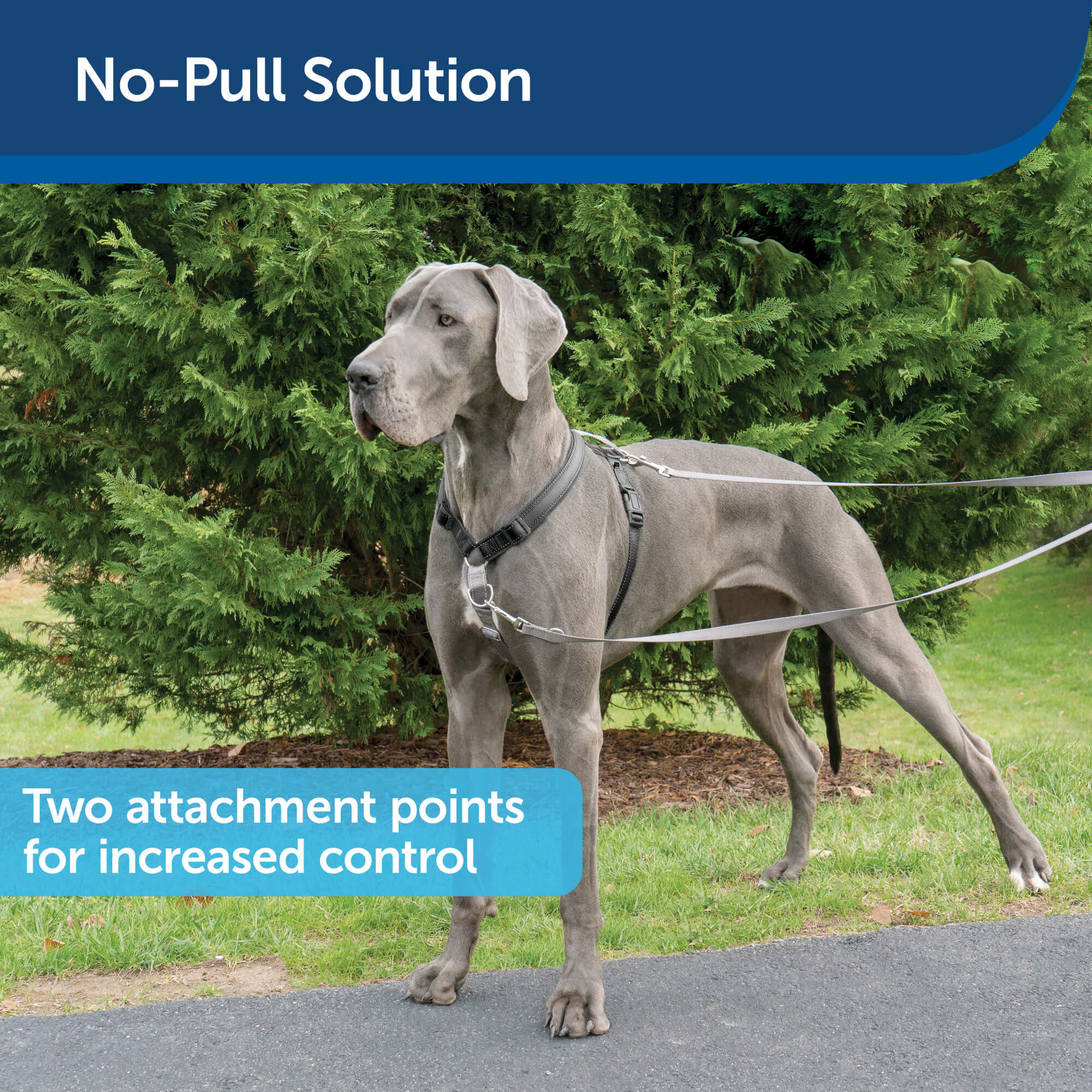 PetSafe Harness Two attachment points for increased control