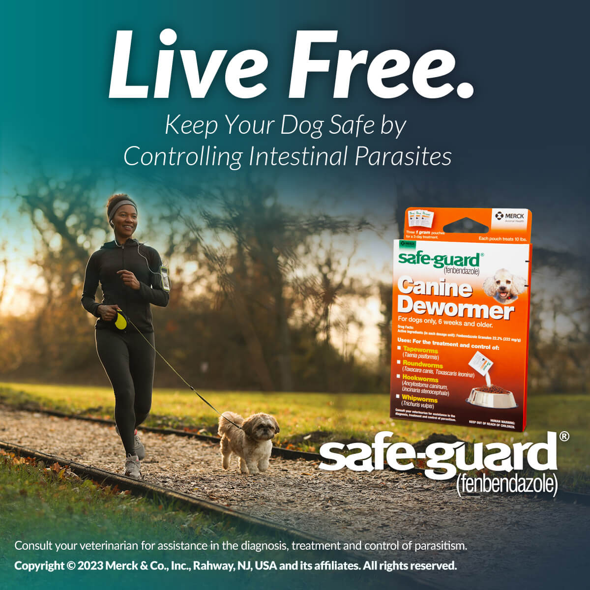 Safe-Guard