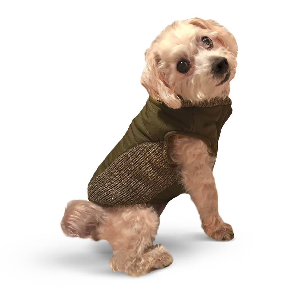 Fashion Pet - Pet Sweater