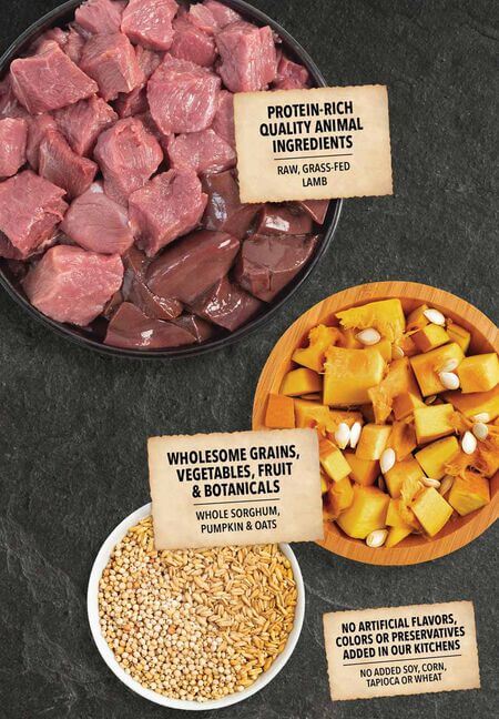 real ingredients acana wholesome grains lamb and pumpkin