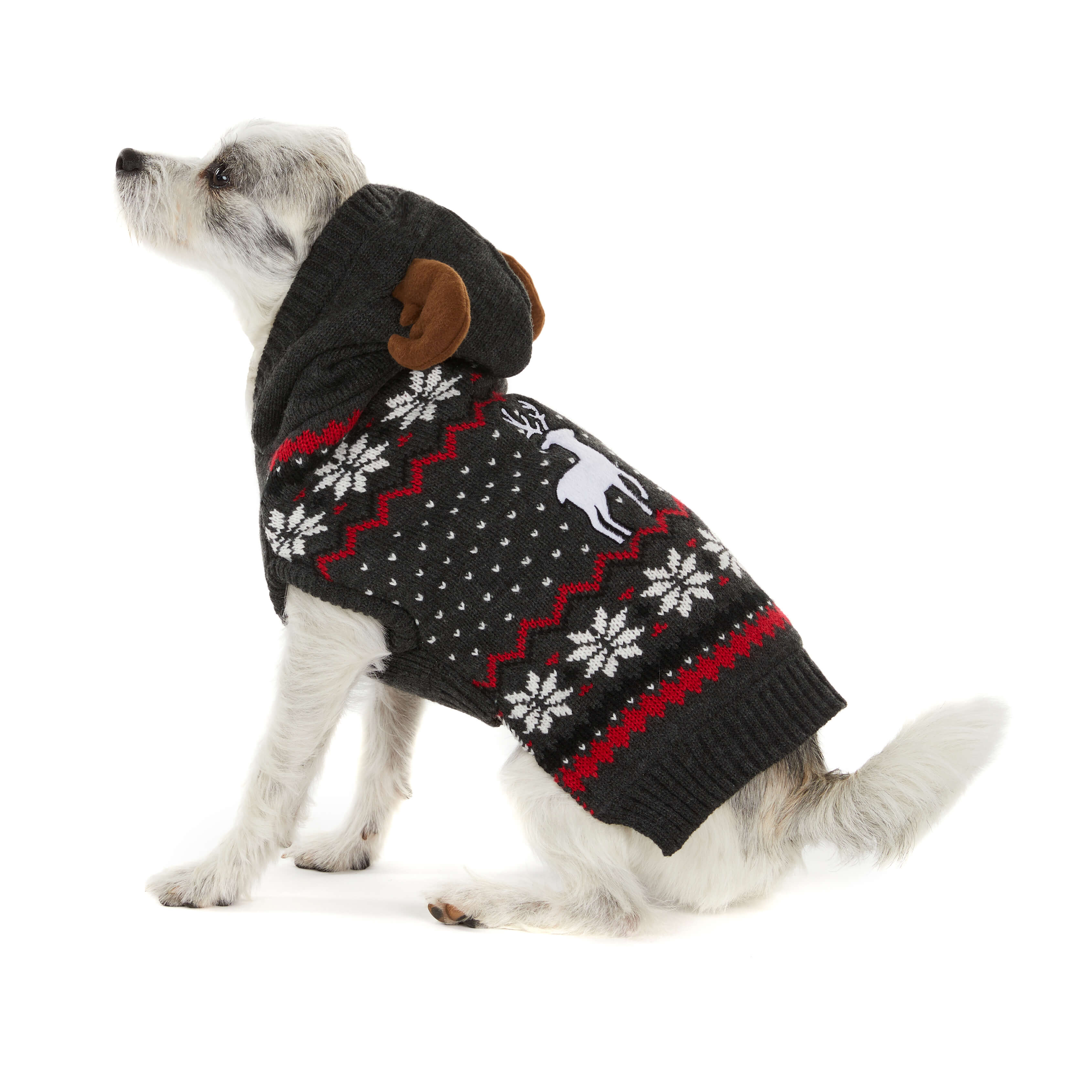 Dog wearing festive antler sweater. Side view