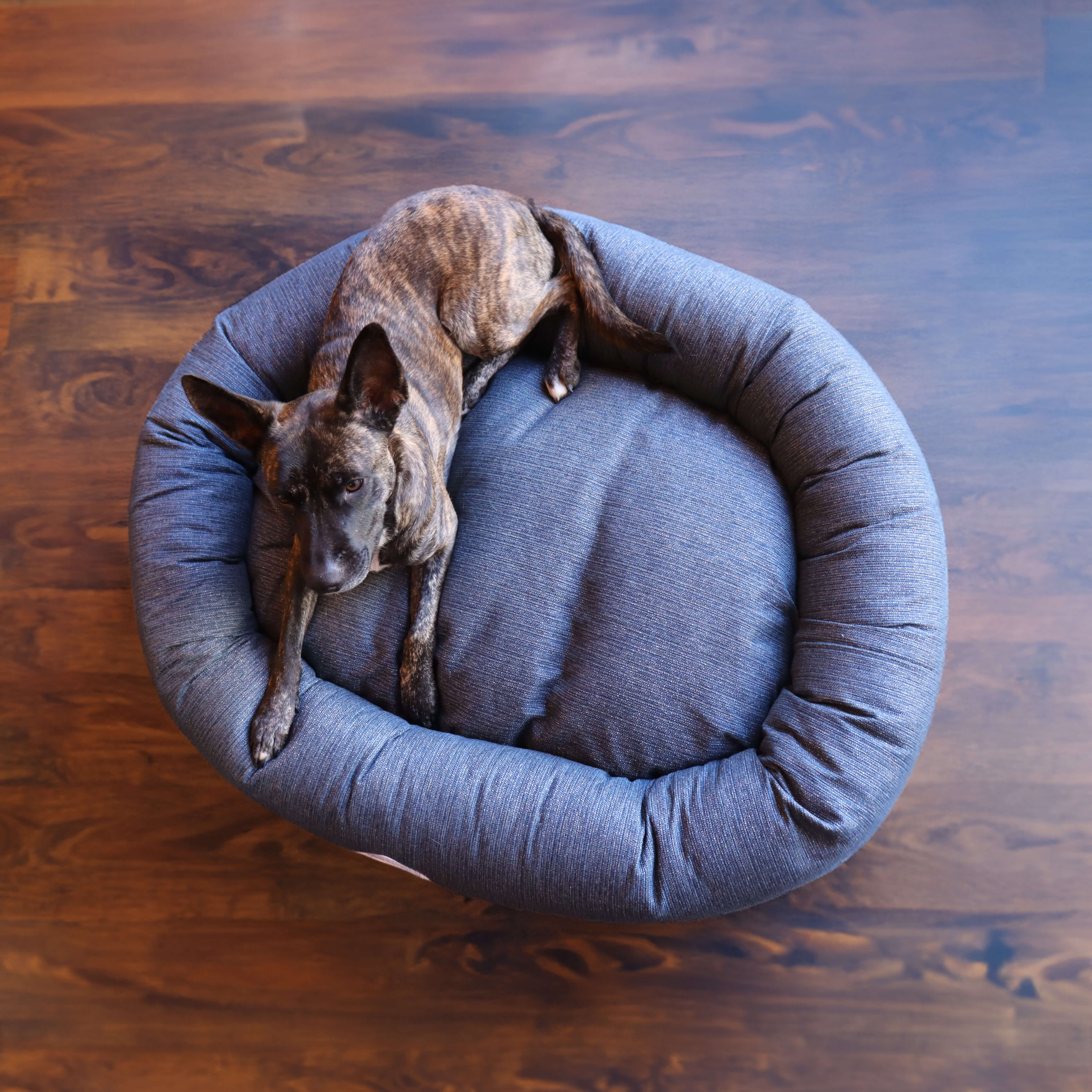 Mississippi Made - Donut Dog Bed