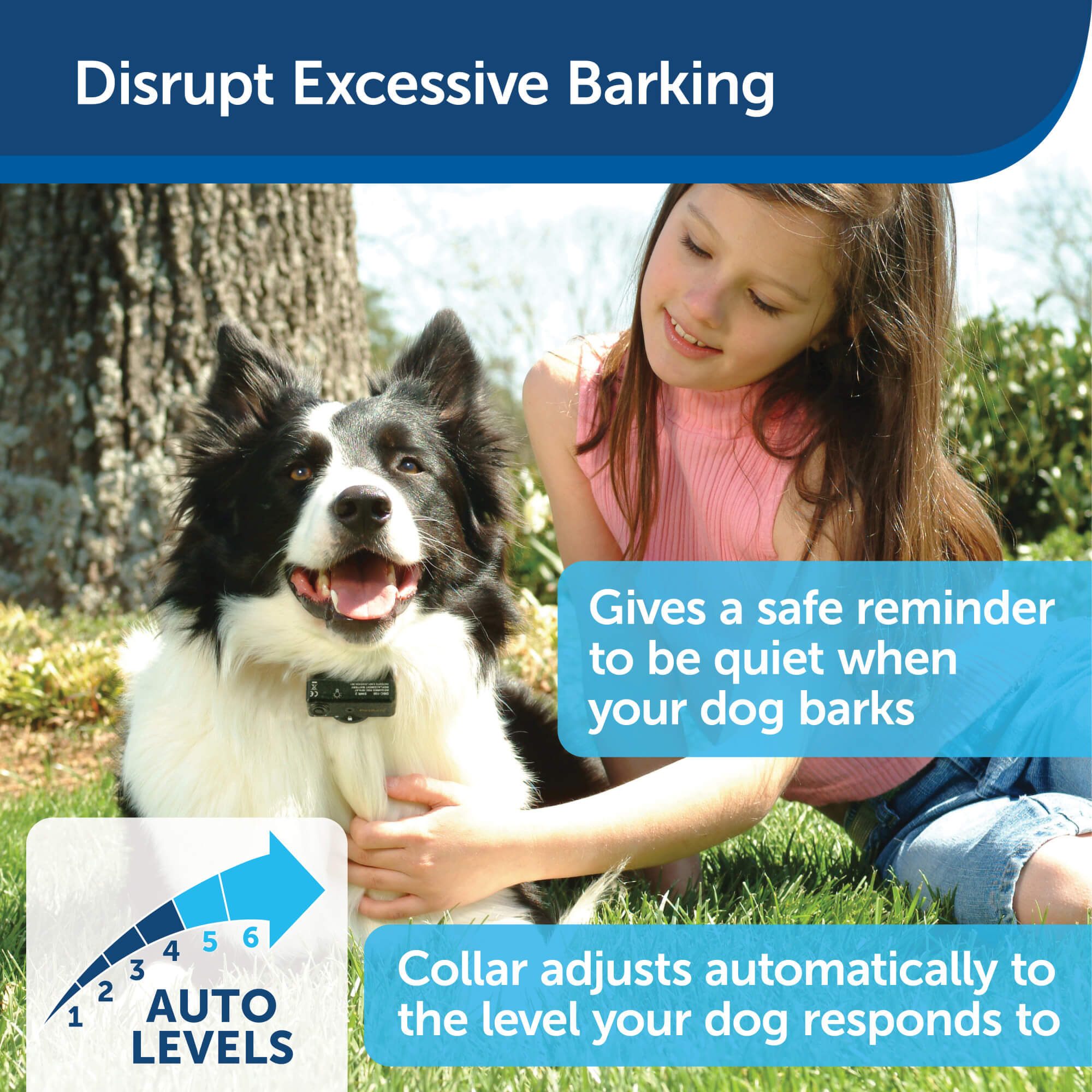 PetSafe Basic Bark Control collar detects your dog's bark and adjusts