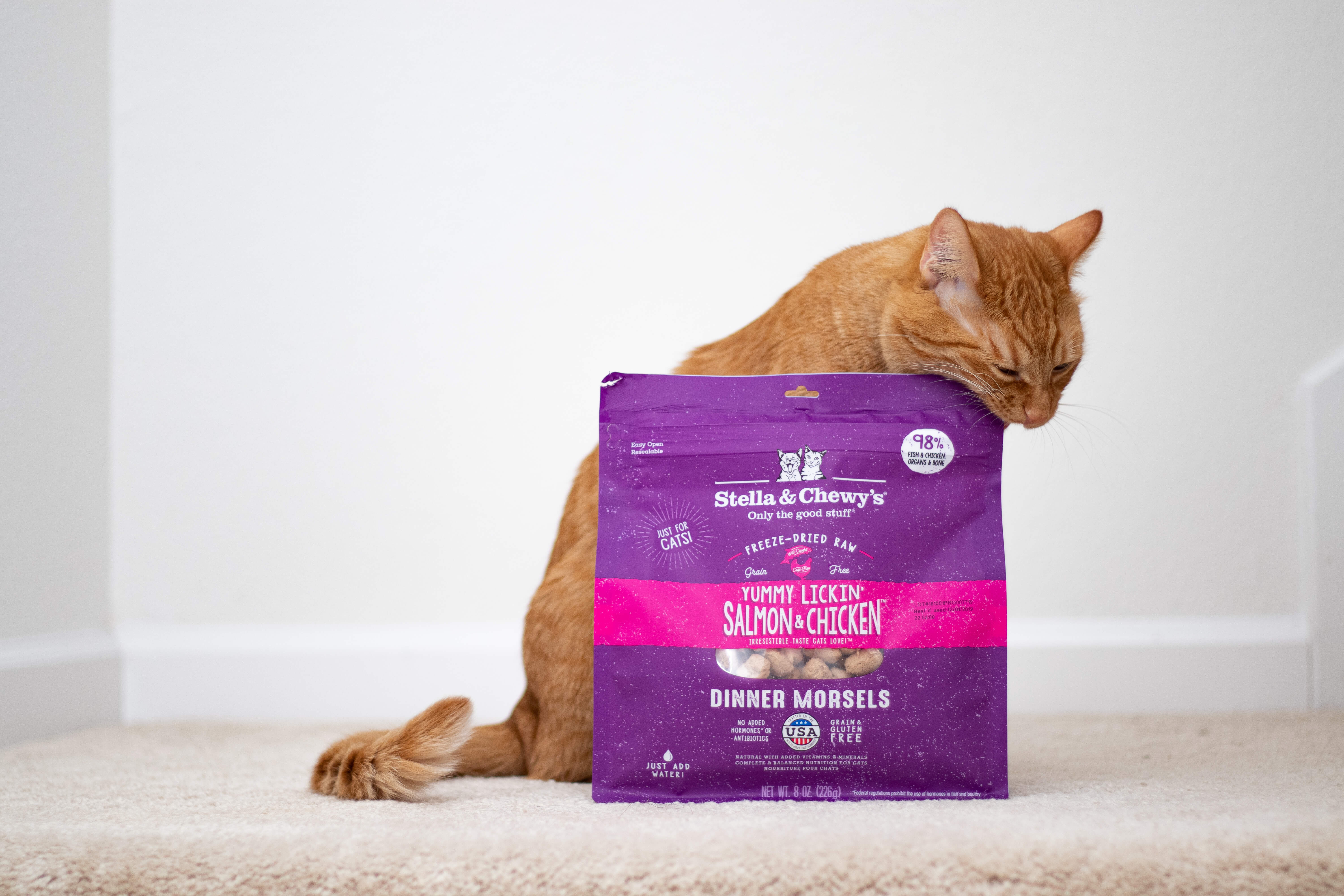 S&C cat freeze-dried salmon & chicken lifestyle