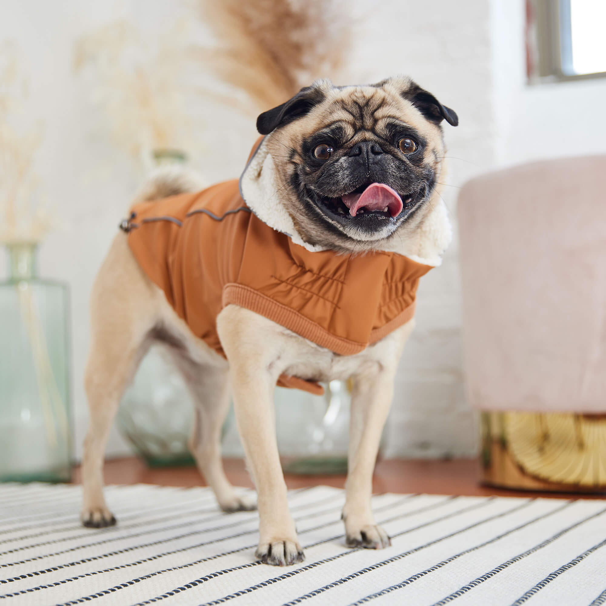 GF Pet - Pet Raincoat