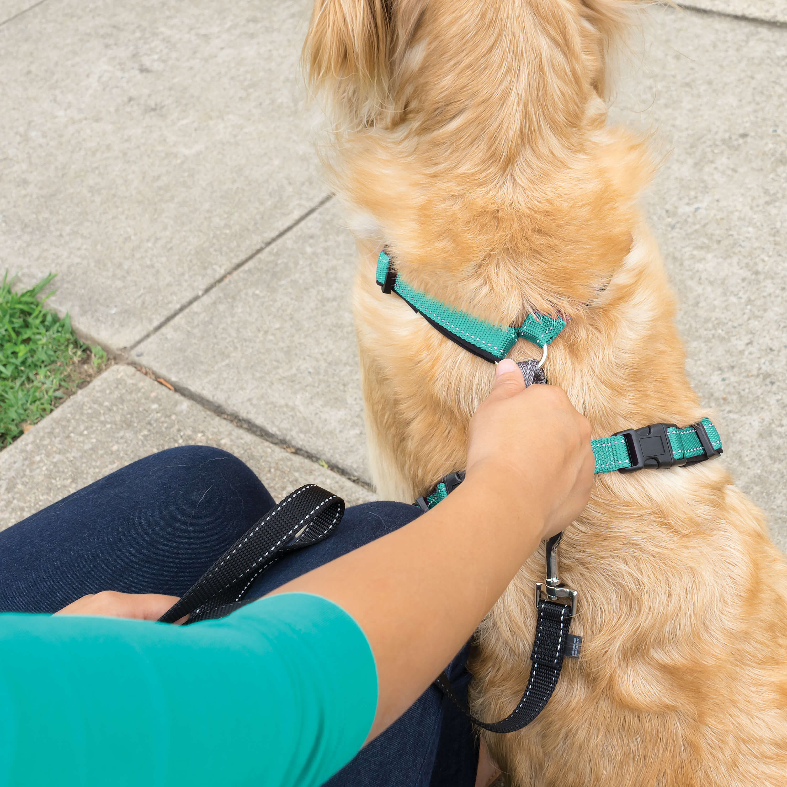 Person holding onto PetSafe 3 in 1 harness in large
