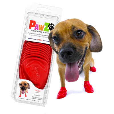 pawz small boots on dog