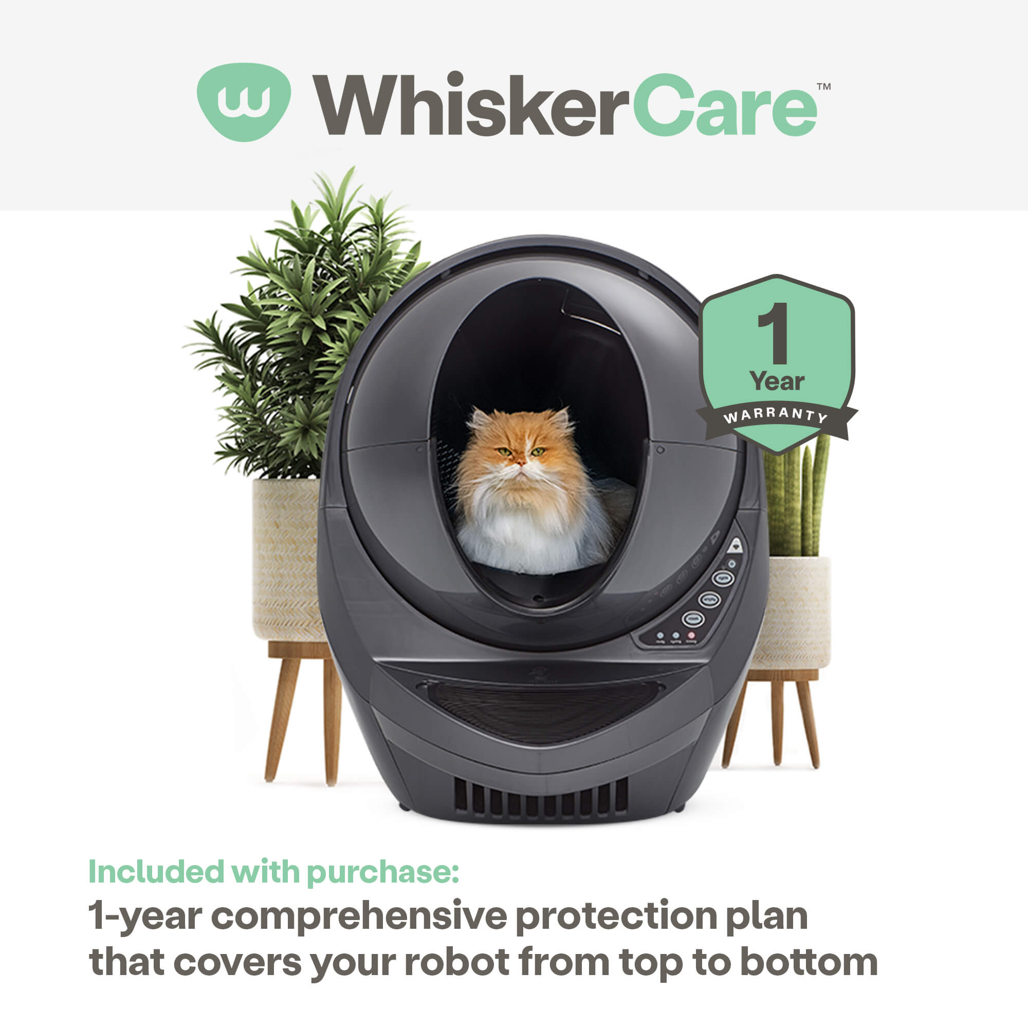grey Litter Robot 3 connect whisker care