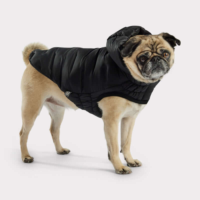 GF Pet - Dog Coat