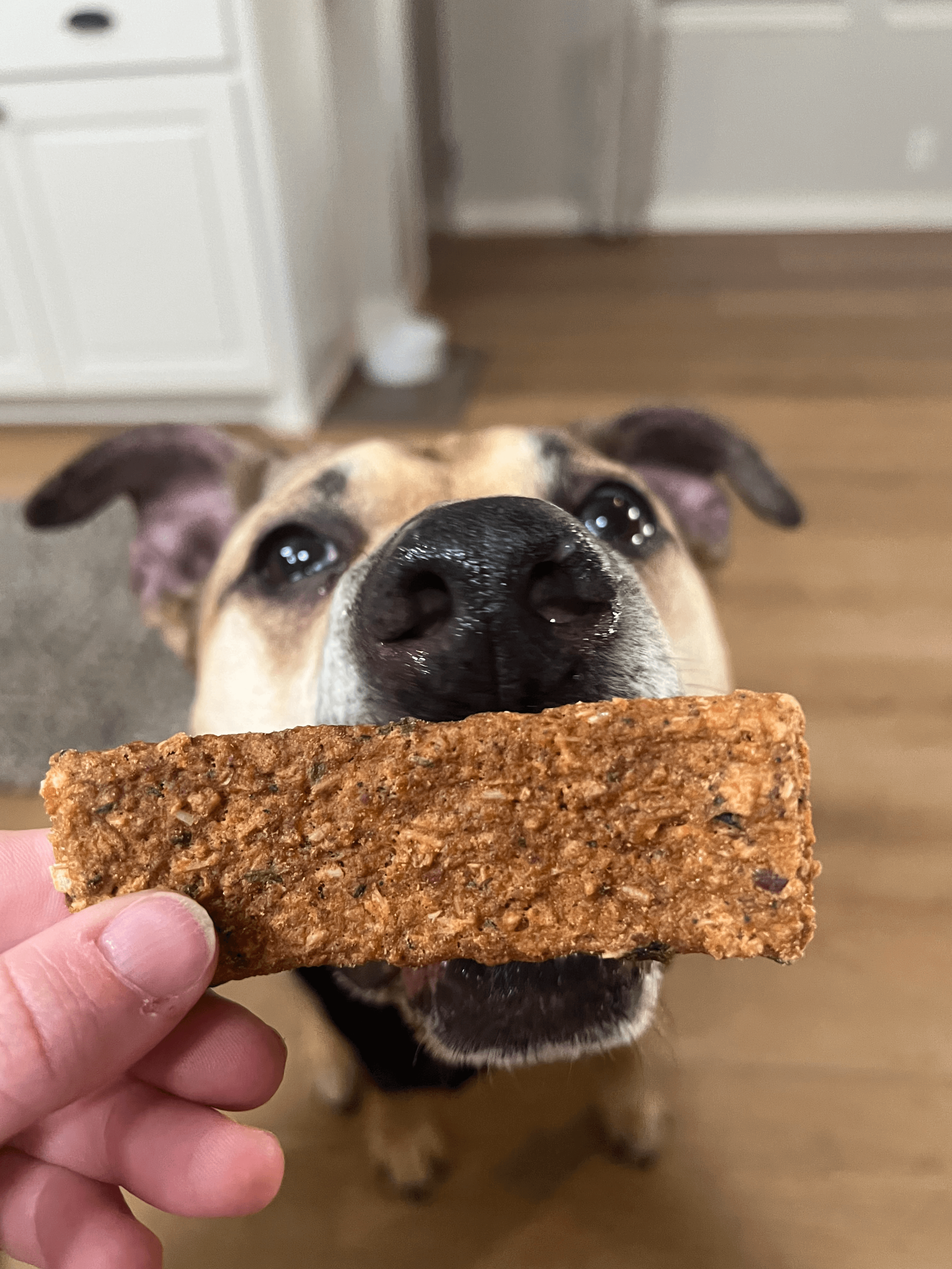 Georgia Smoked - Dog Treat