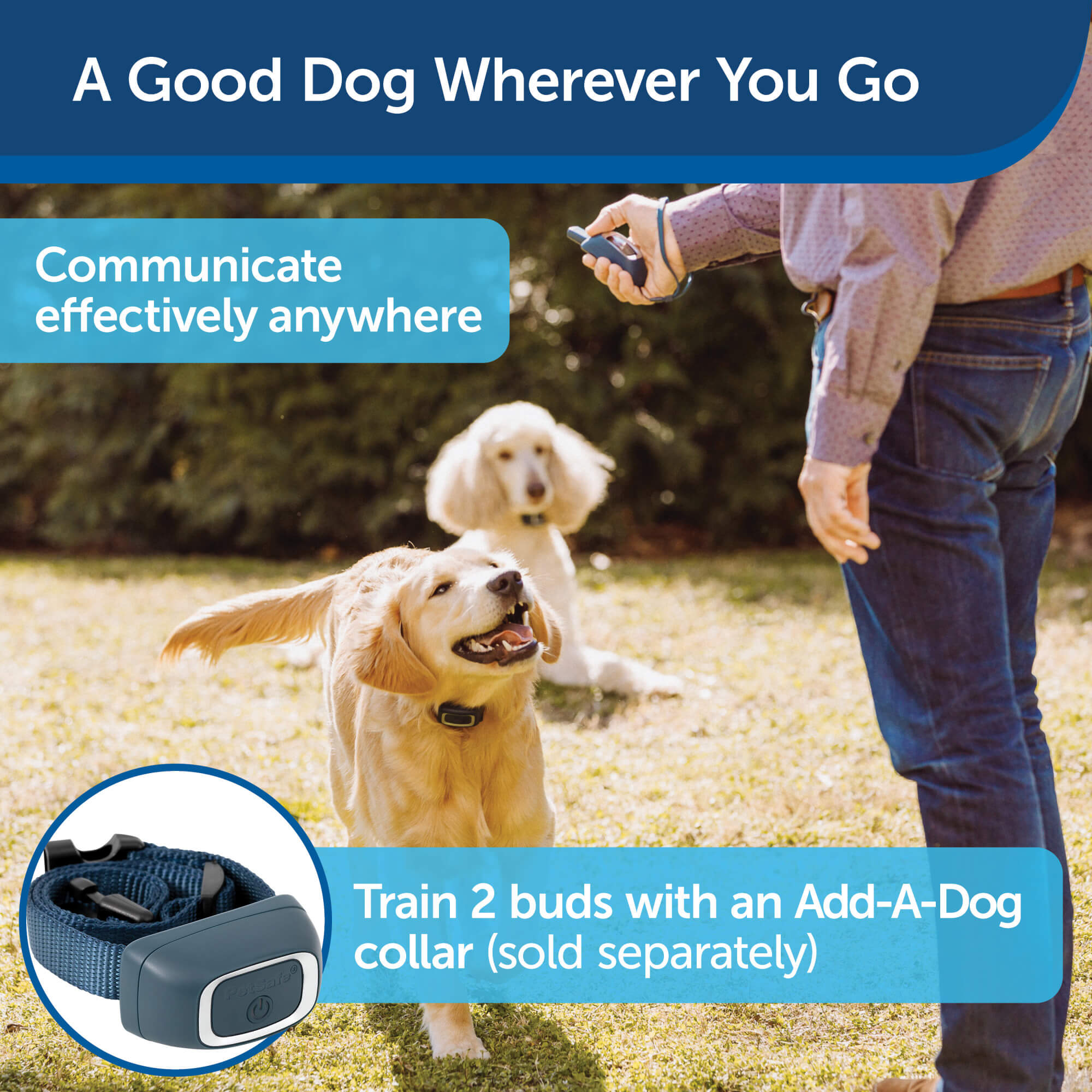 Petsafe Dog Collar & Remote Trainer A good dog wherever you go