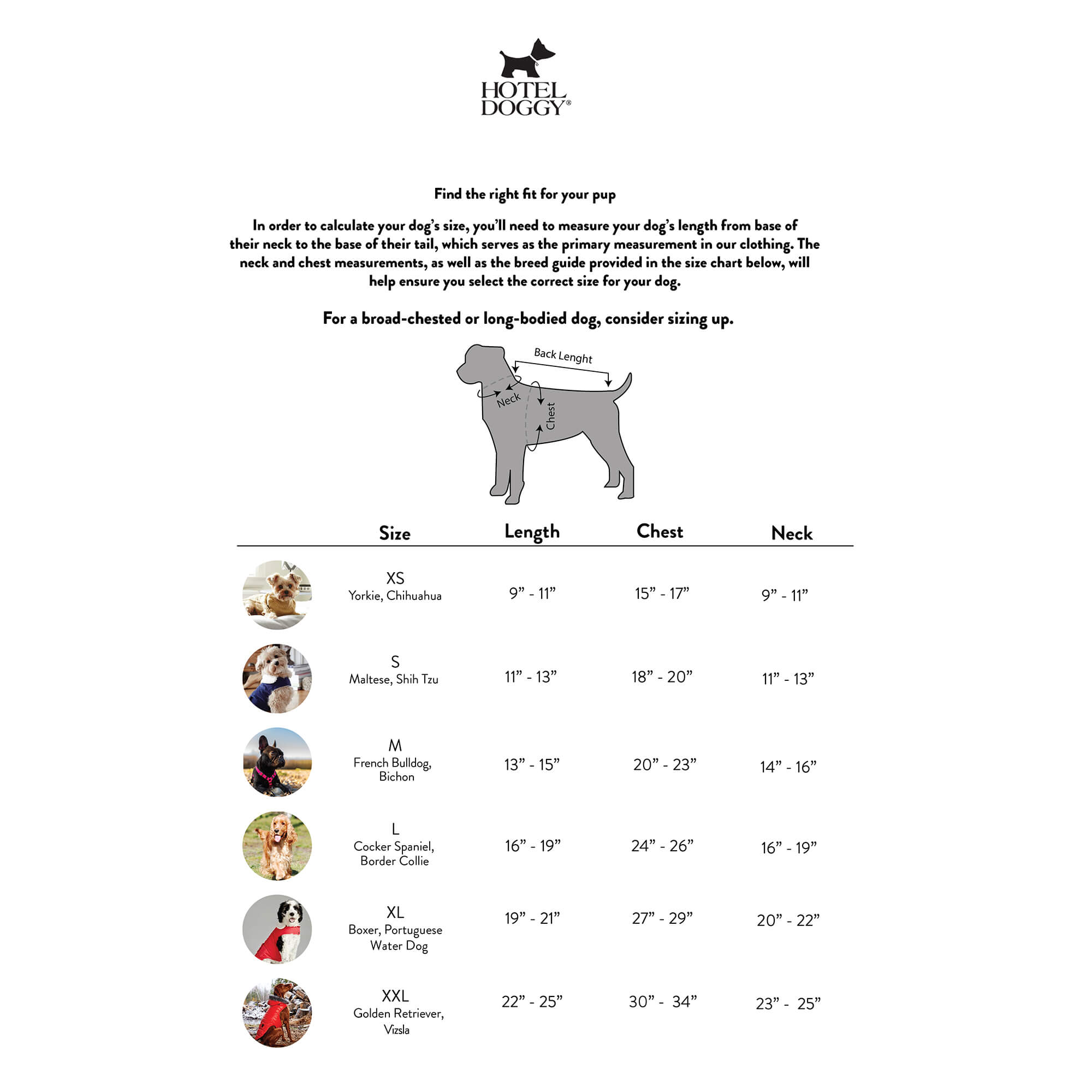 Hotel Doggy Size chart