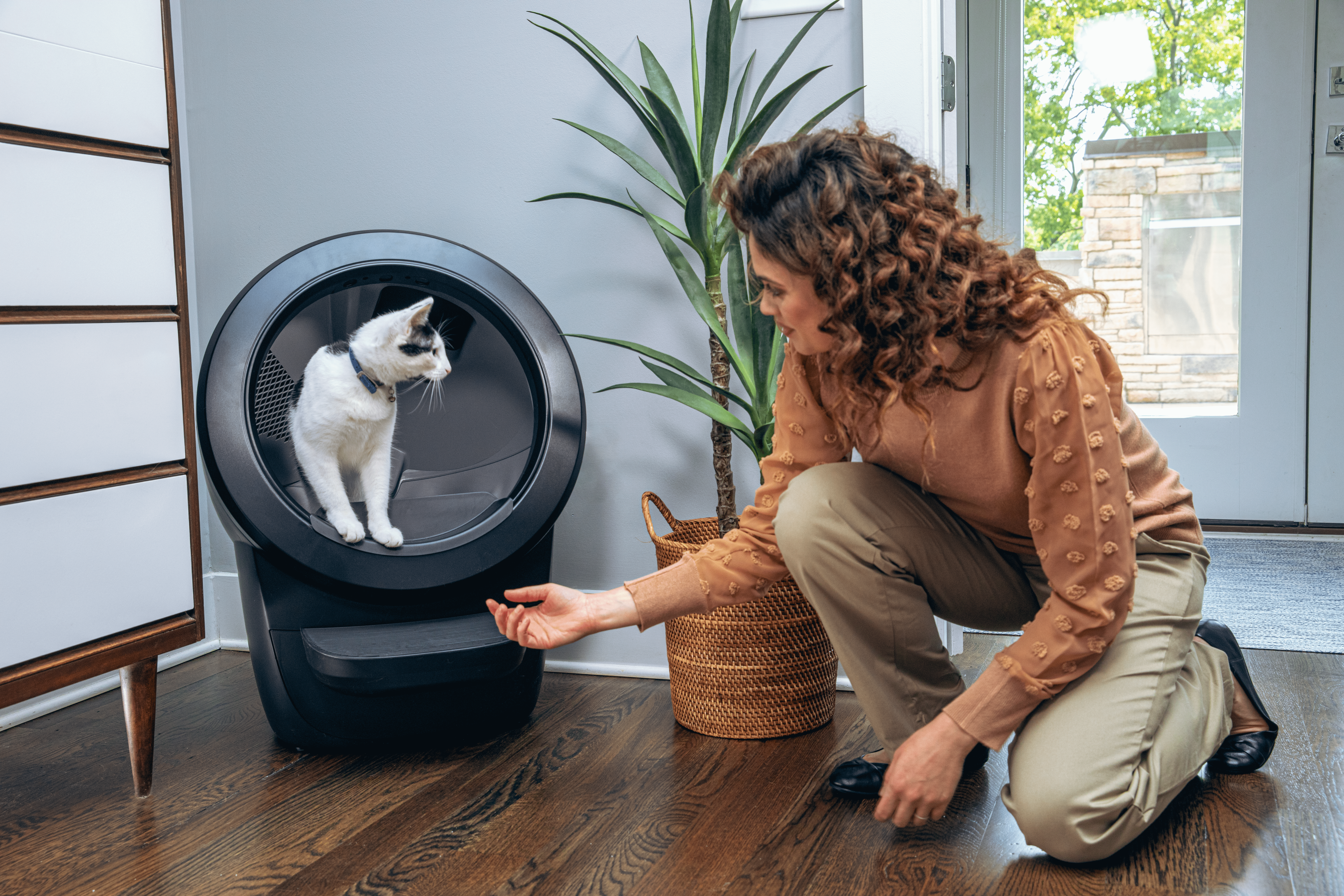 Whisker - Litter-Robot 4