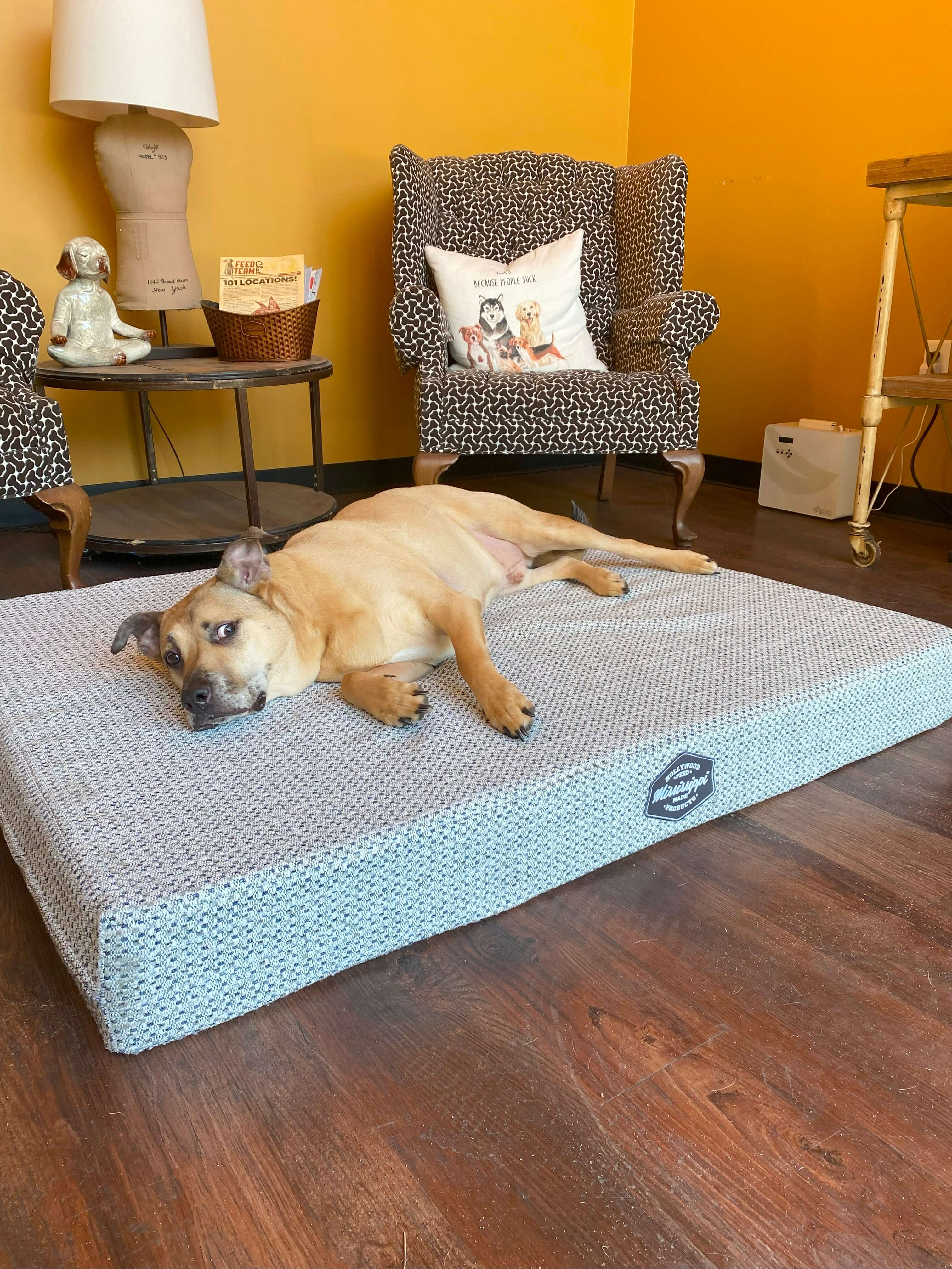 Mississippi Made - Orthopedic Dog Bed