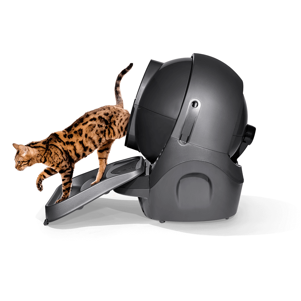 Cat Litter-Robot 3 with grey ramp side with cat