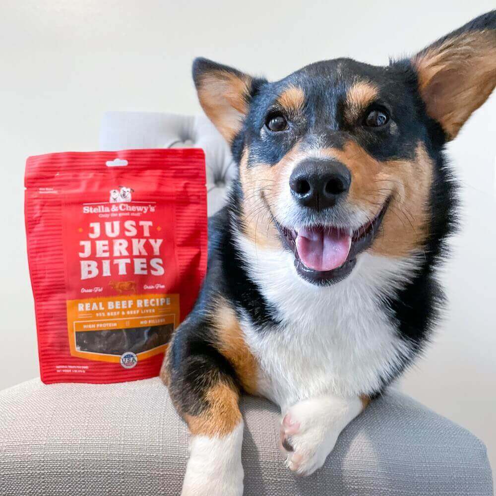 Stella & Chewy's - Dog Treats - Beef Jerky Bites