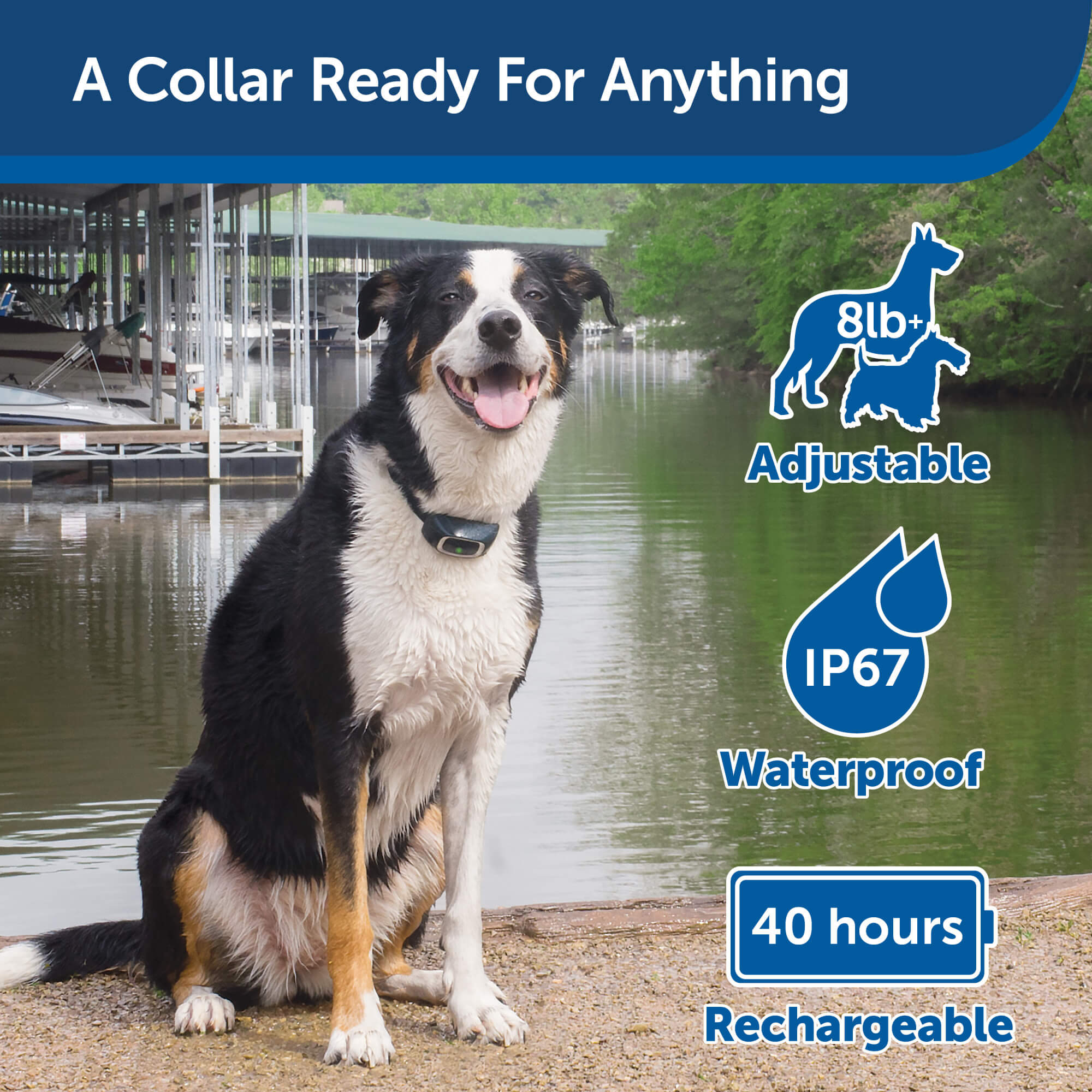 Petsafe Dog Collar & Remote Trainer A collar ready for anything