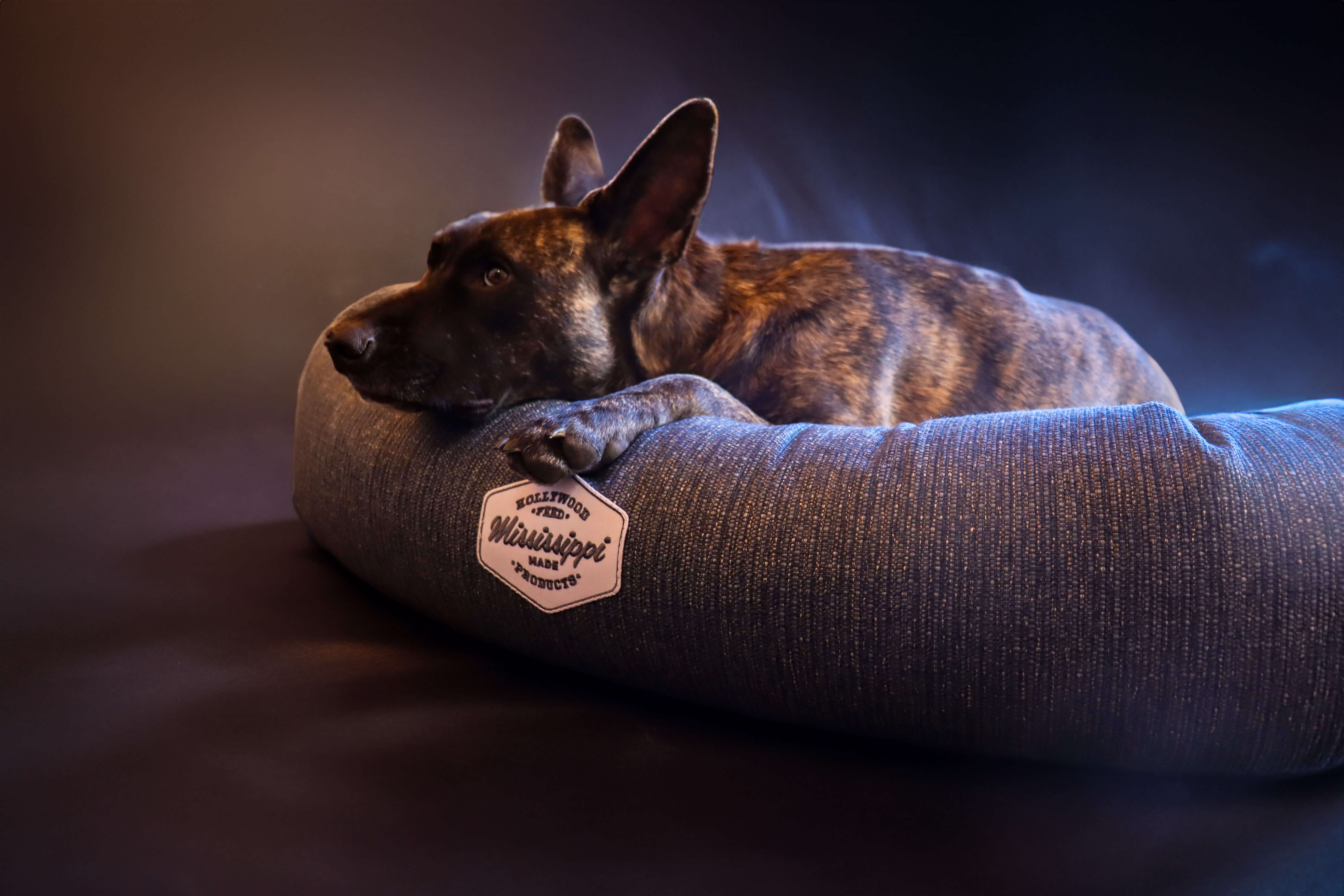 Donut Dog Bed - Celadon Navy