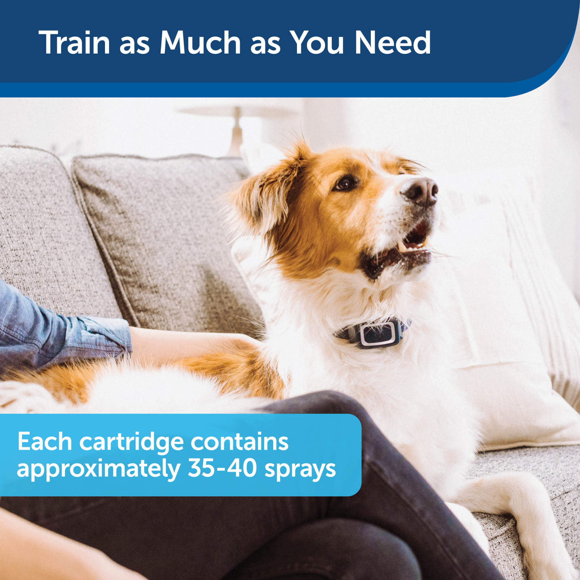 Petsafe Train as much as you need