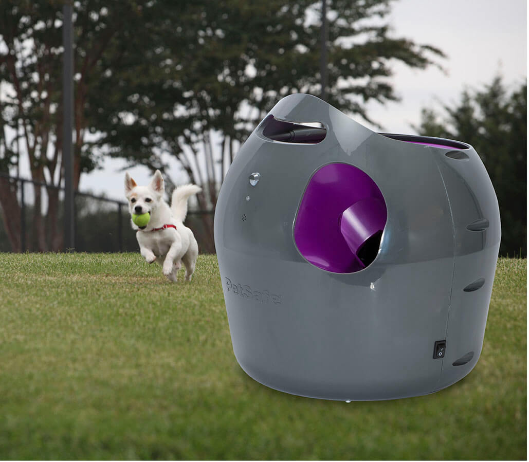 Dog running past petsafe automatic ball launcher with ball in mouth