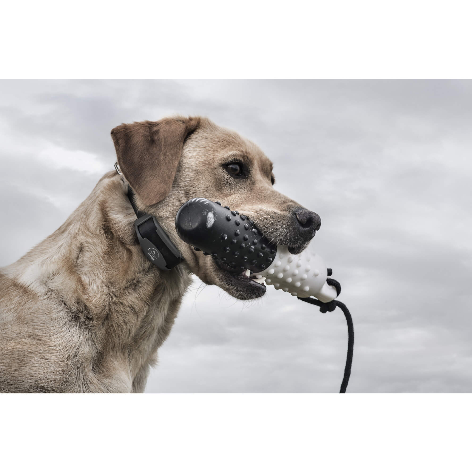 SportDOG - Dog Collar & Trainer - 425x Field Trainer