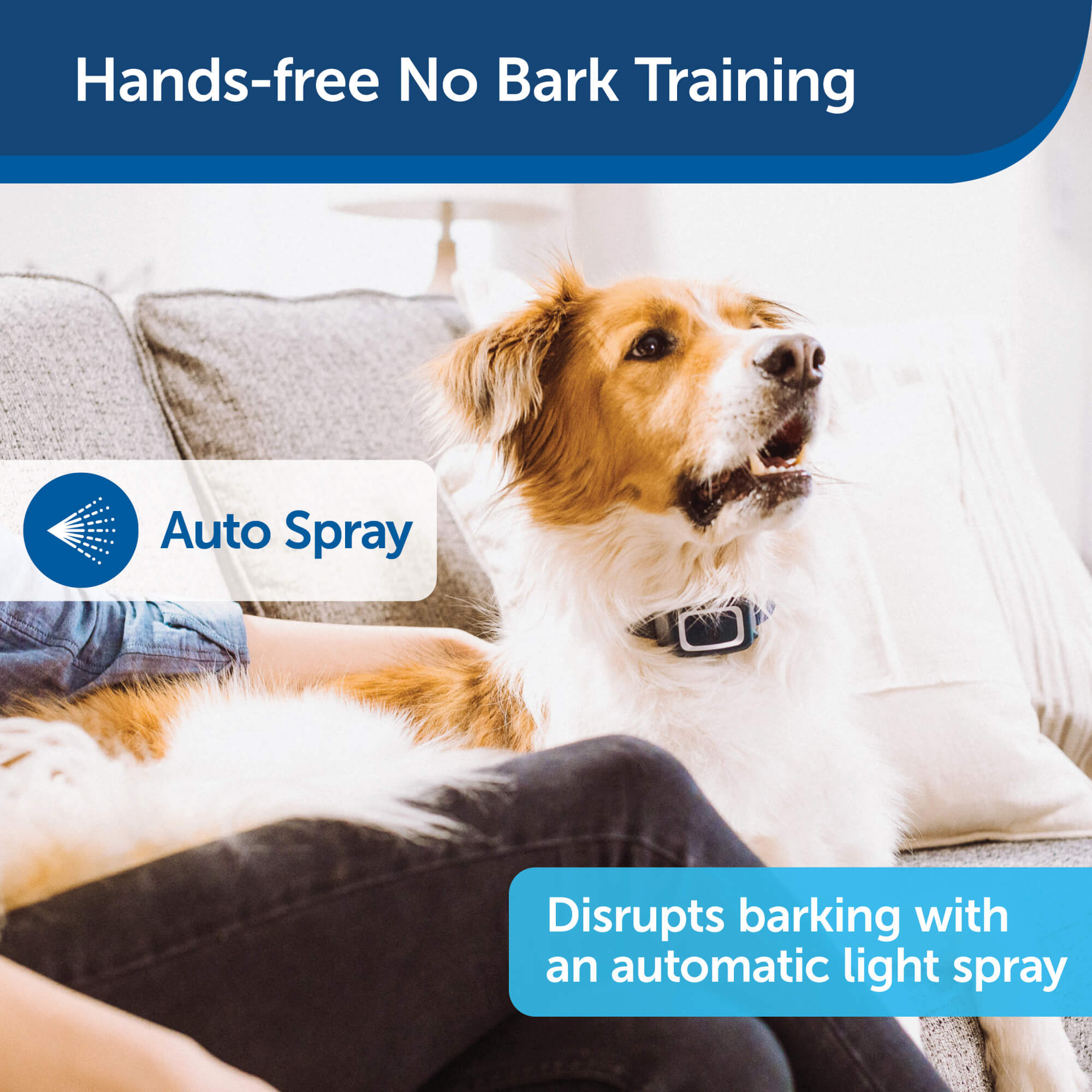 Hands-free no bark training