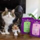 stella&chewy selects cagre free chicken with cats