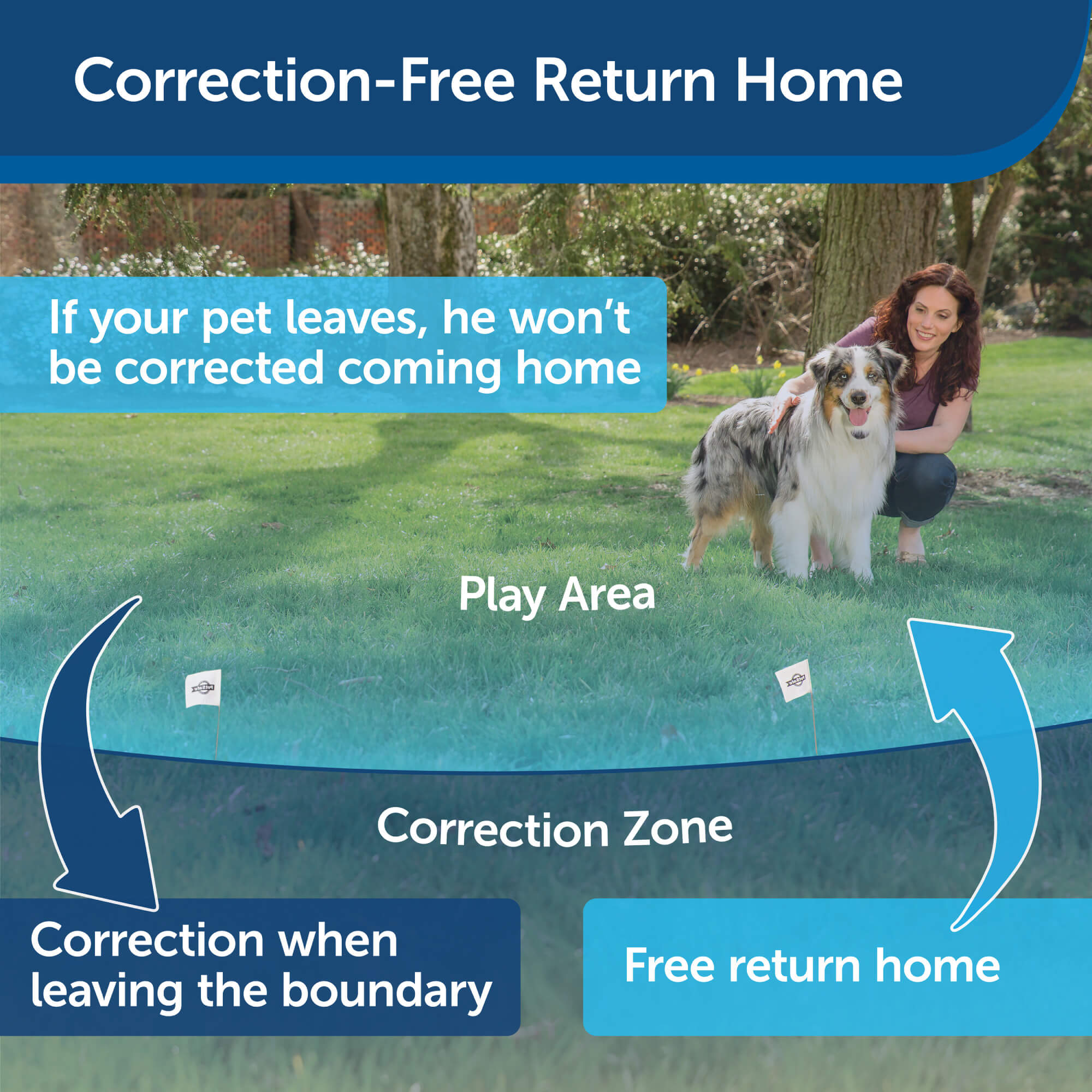 Petsafe Stay And Play Correction-free return home