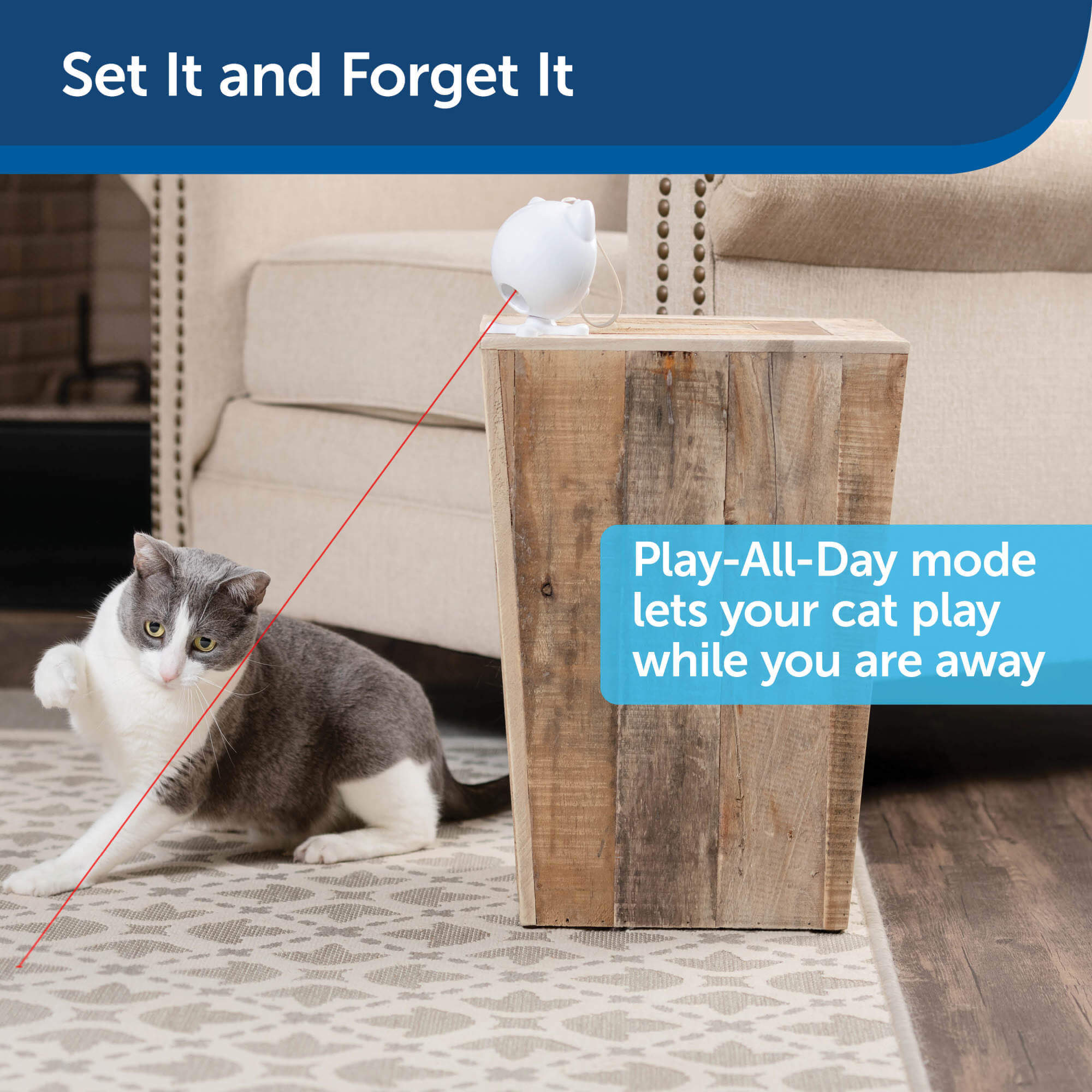 PetSafe Dancing dot cat toy set it and forget it