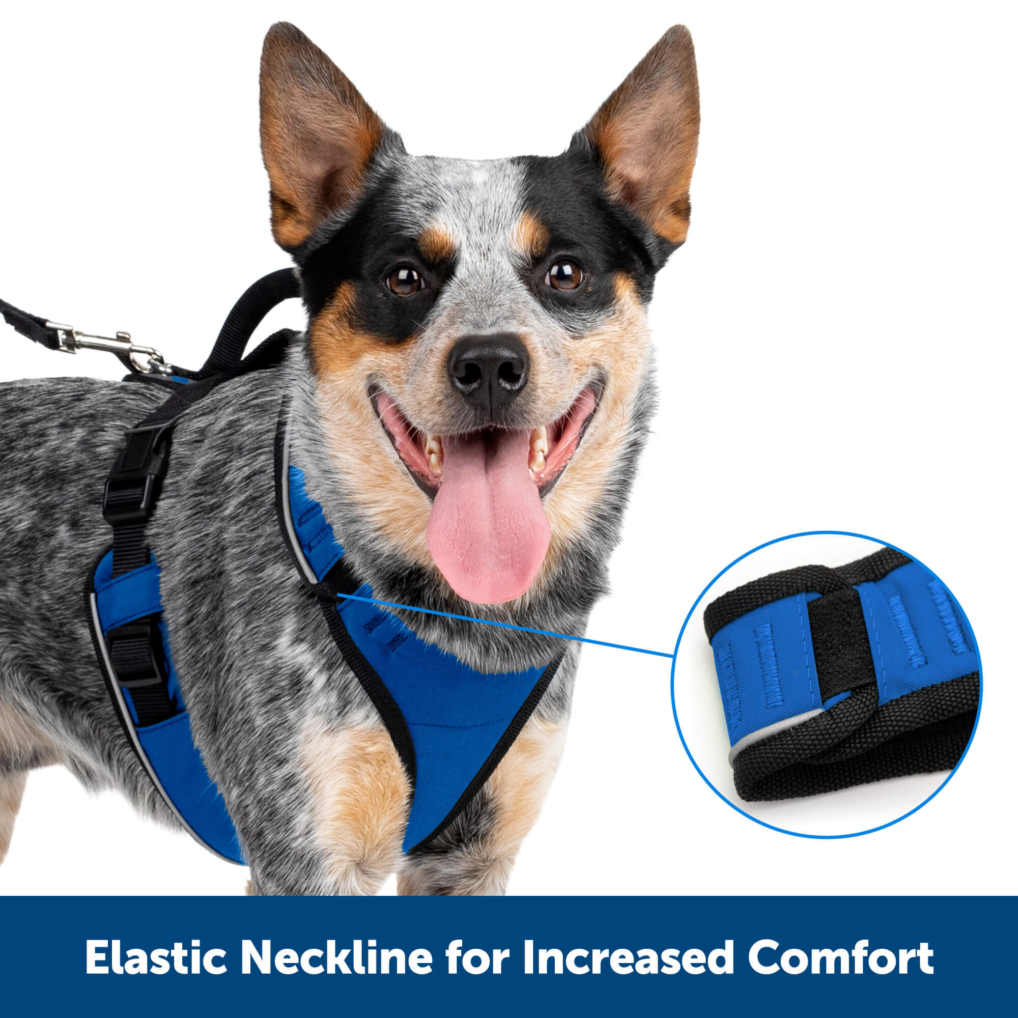 Elastic neckline for increased comfort