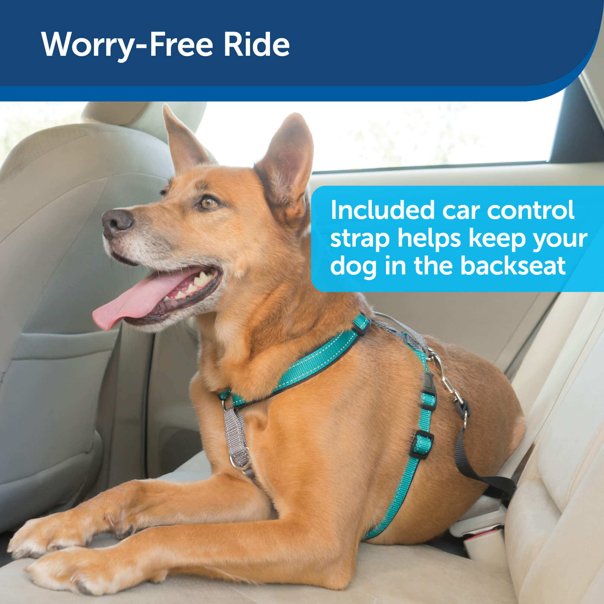 PetSafe Worry-free ride