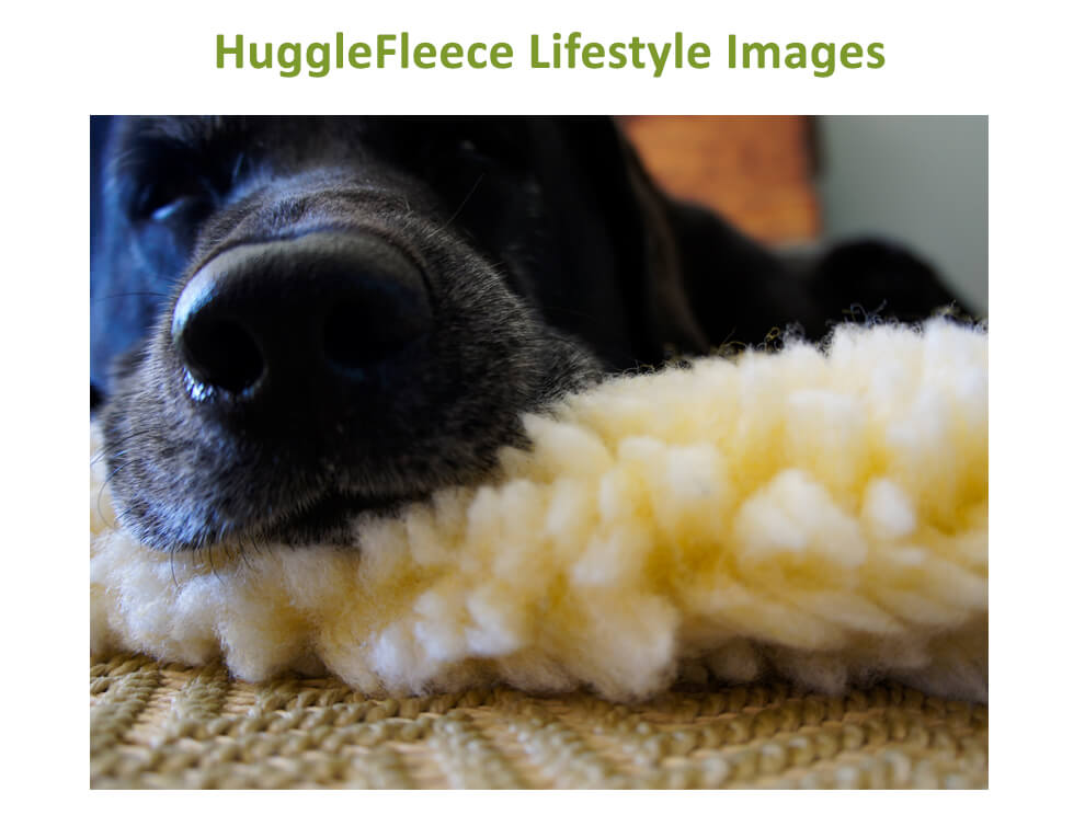 Dog on HH fleece mat